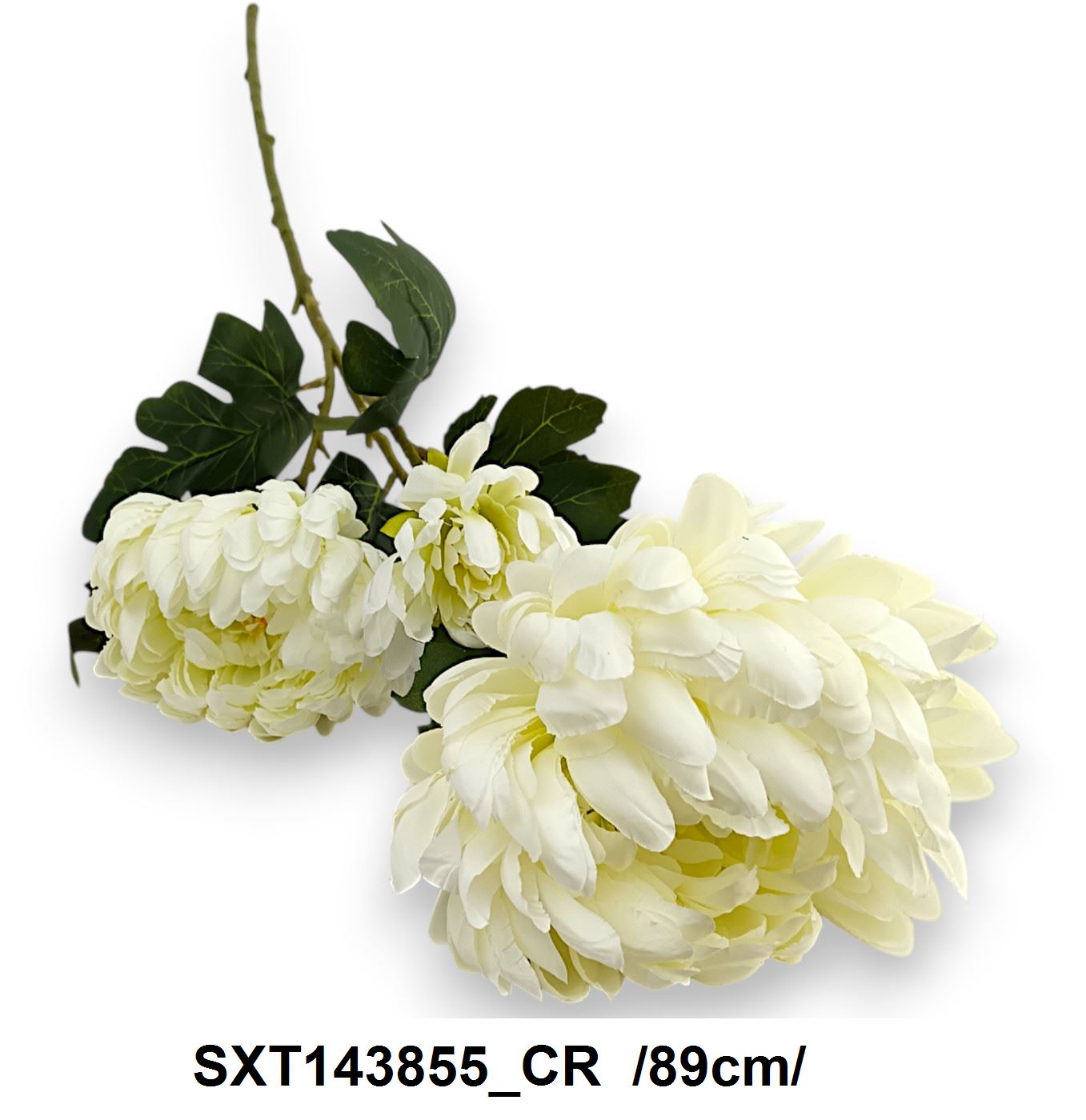 SXT143855_CR