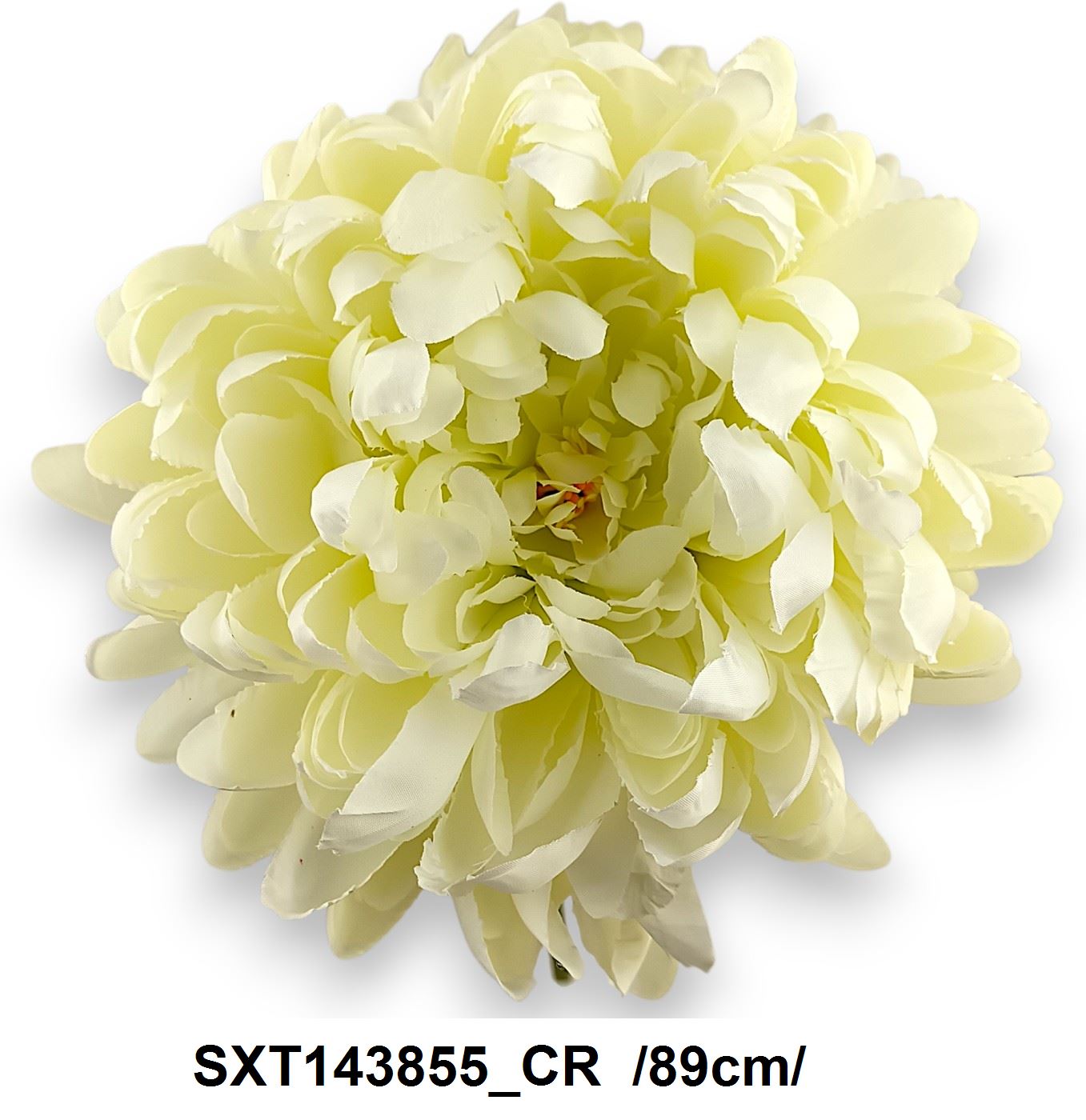 SXT143855_CR