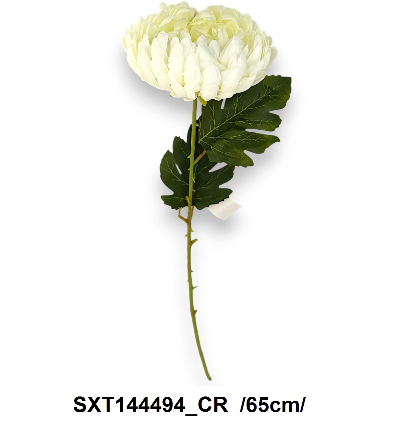 SXT144494_CR
