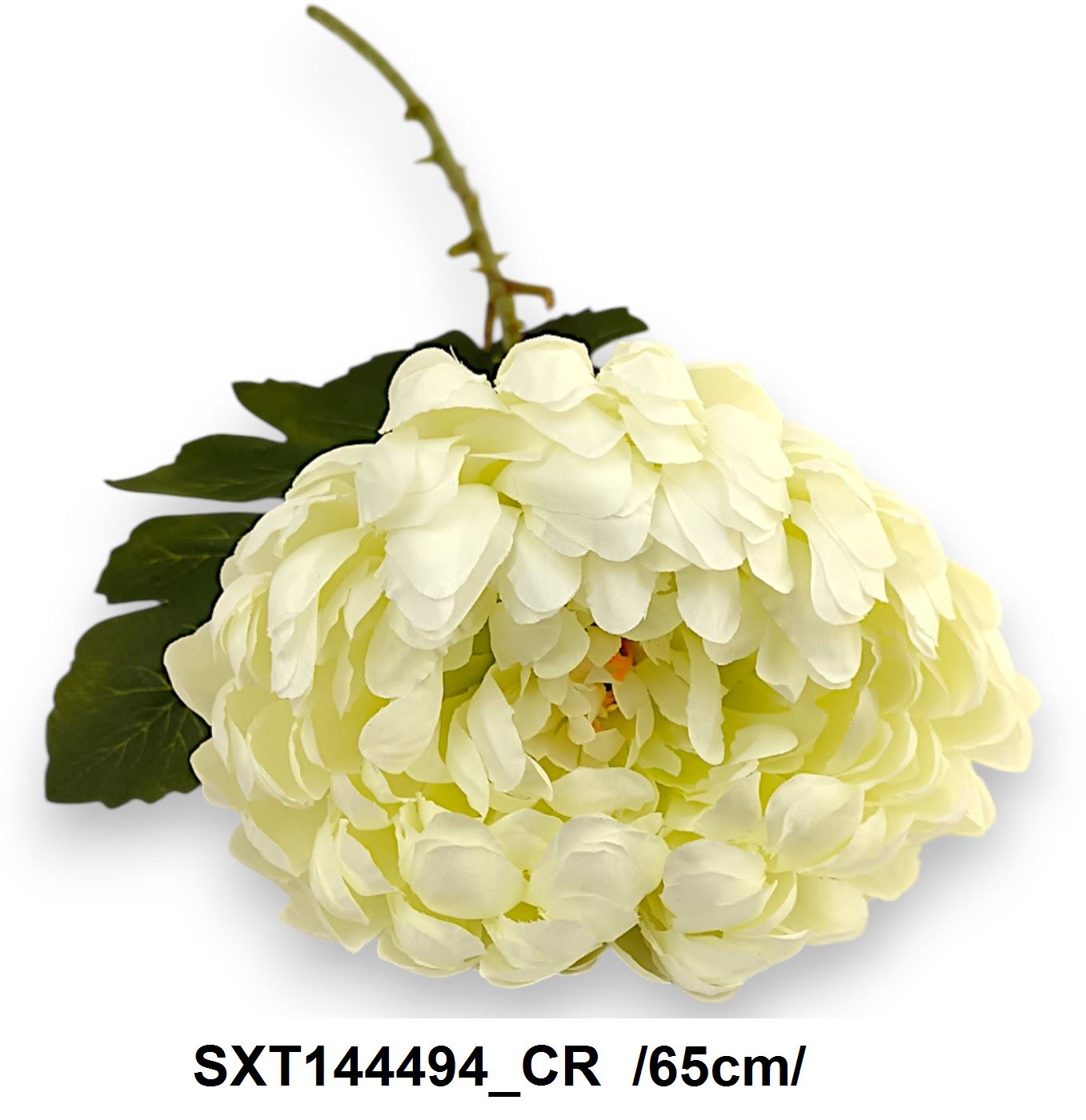 SXT144494_CR