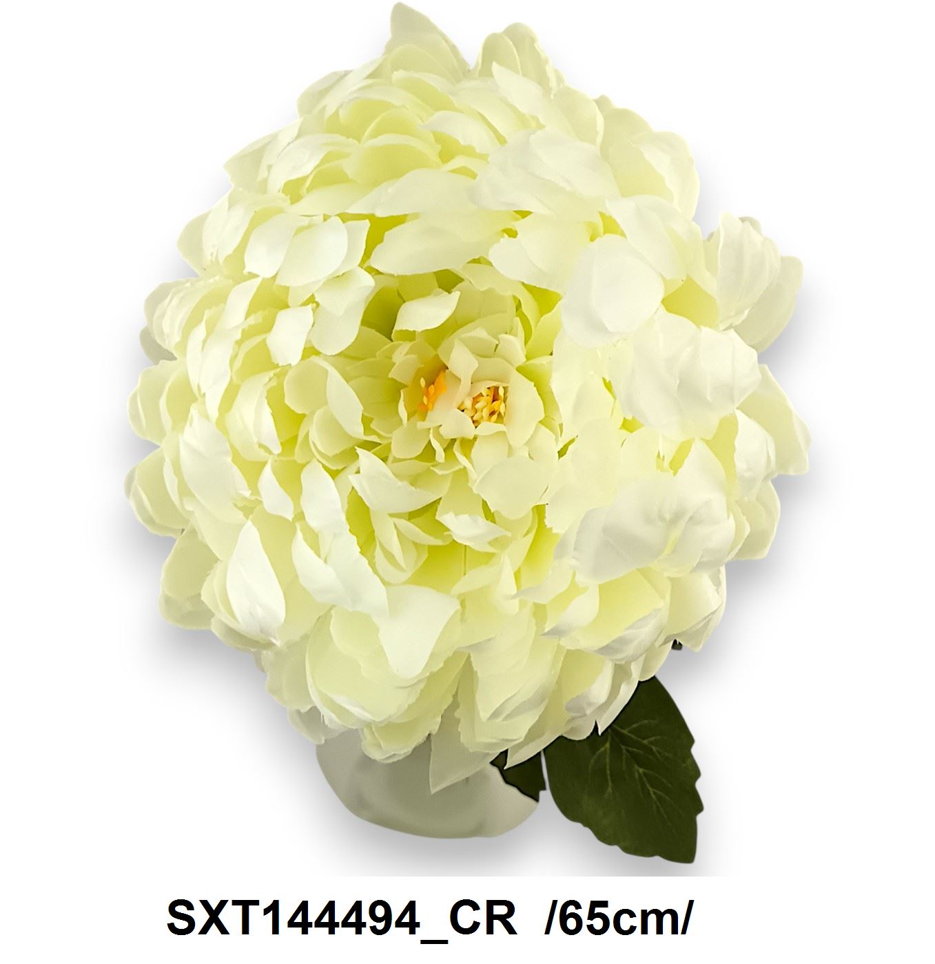 SXT144494_CR