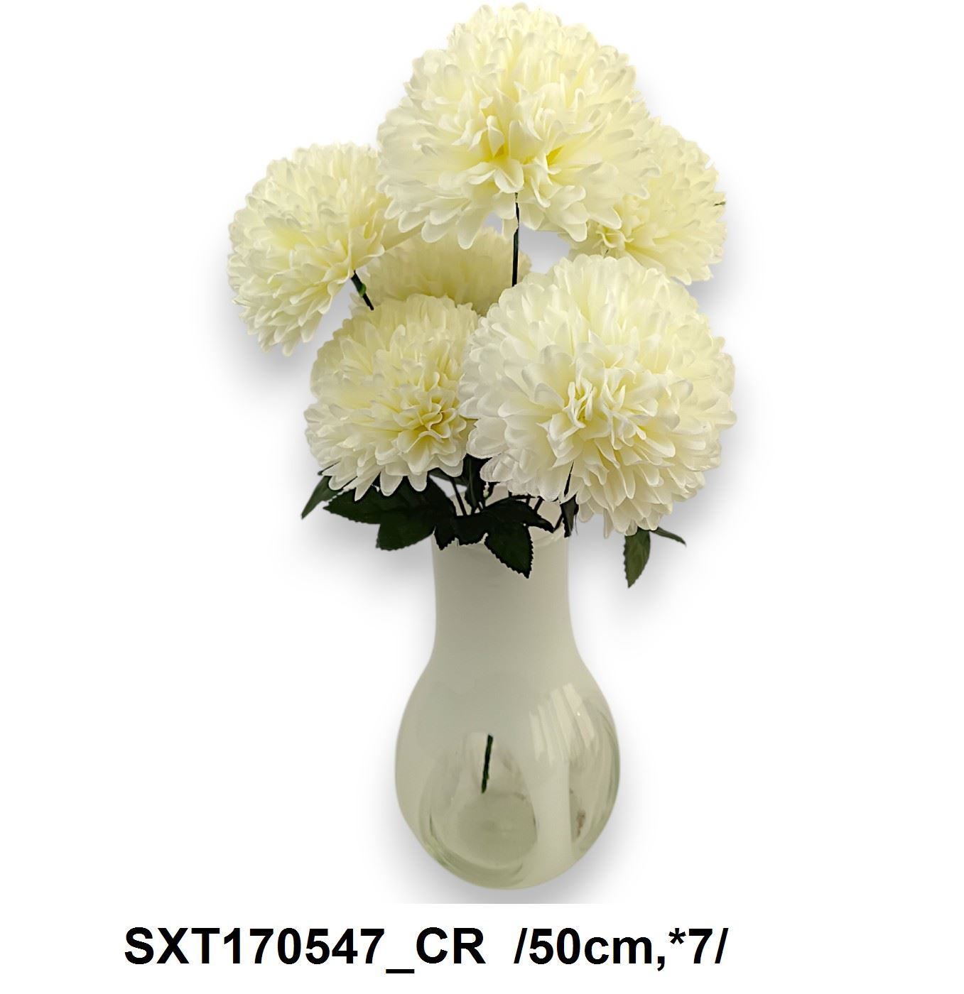 SXT170547_CR