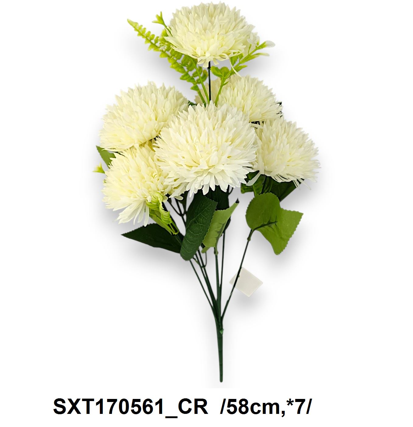 SXT170561_CR
