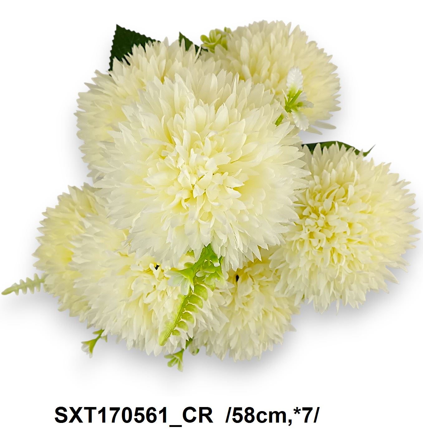 SXT170561_CR