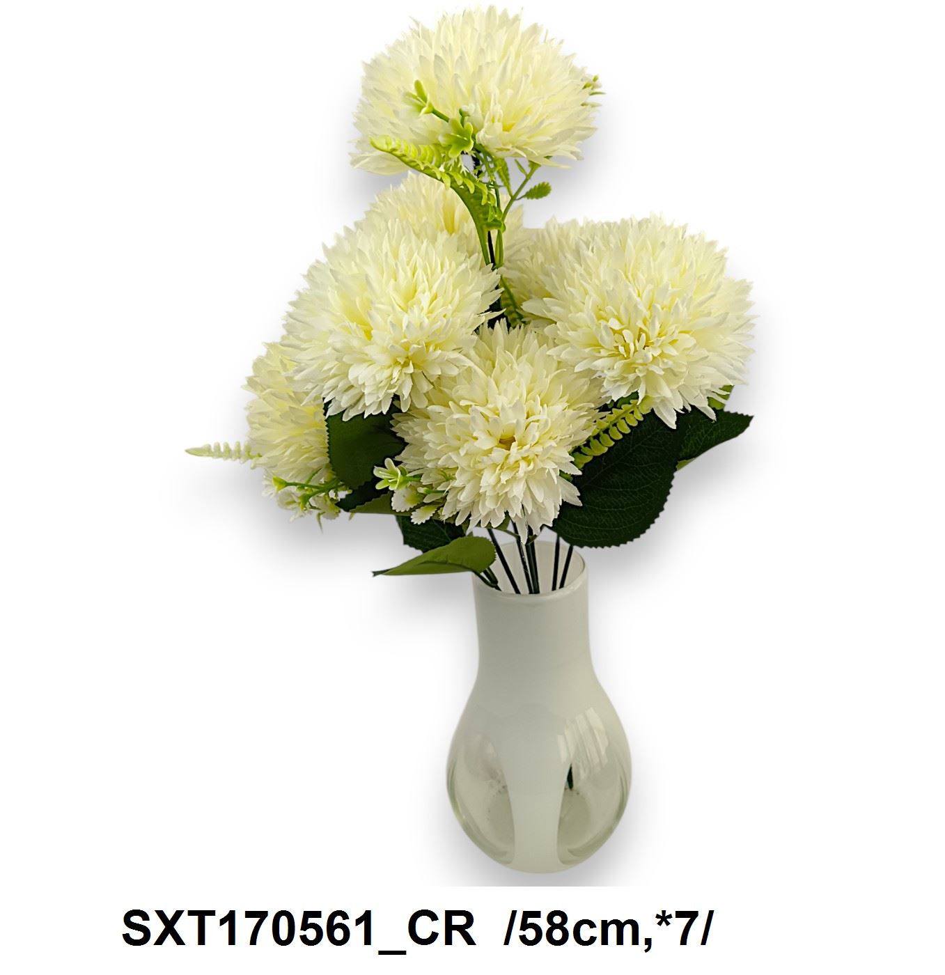 SXT170561_CR