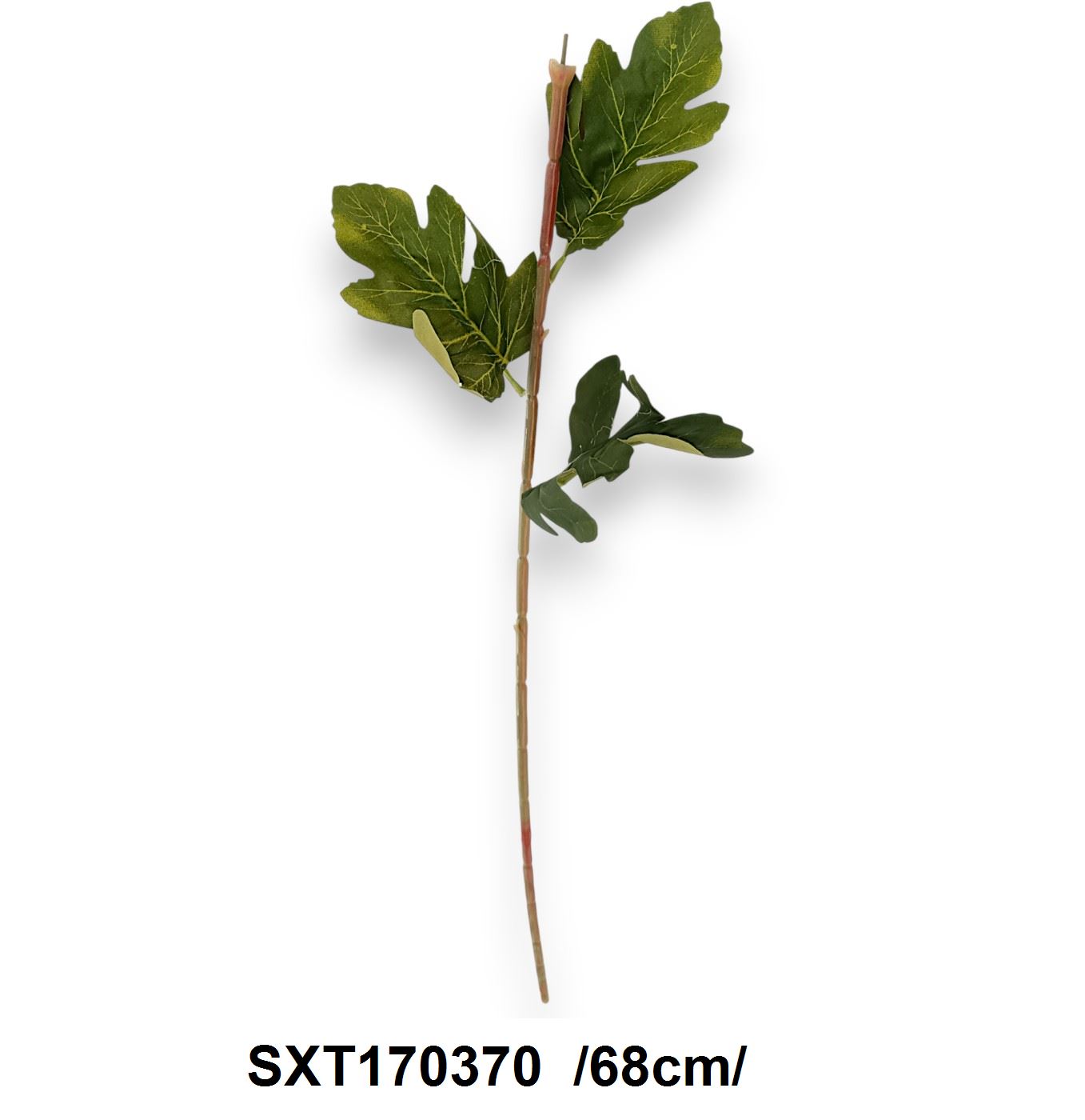 SXT170370