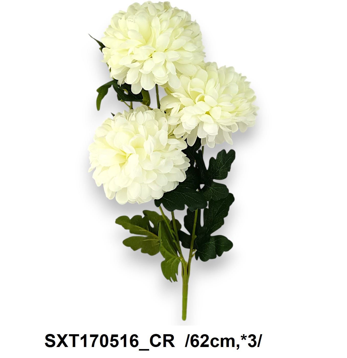 SXT170516_CR