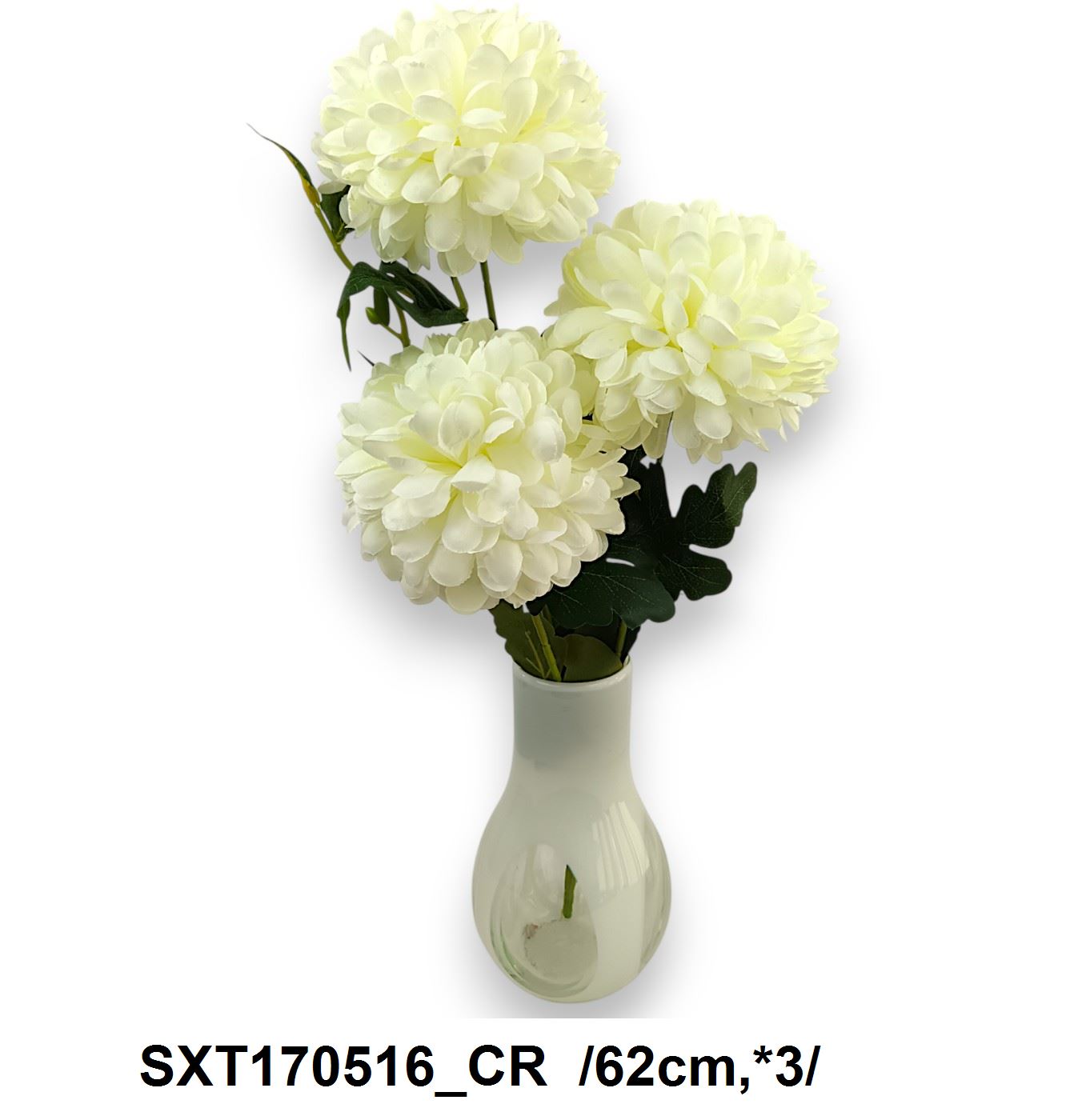 SXT170516_CR