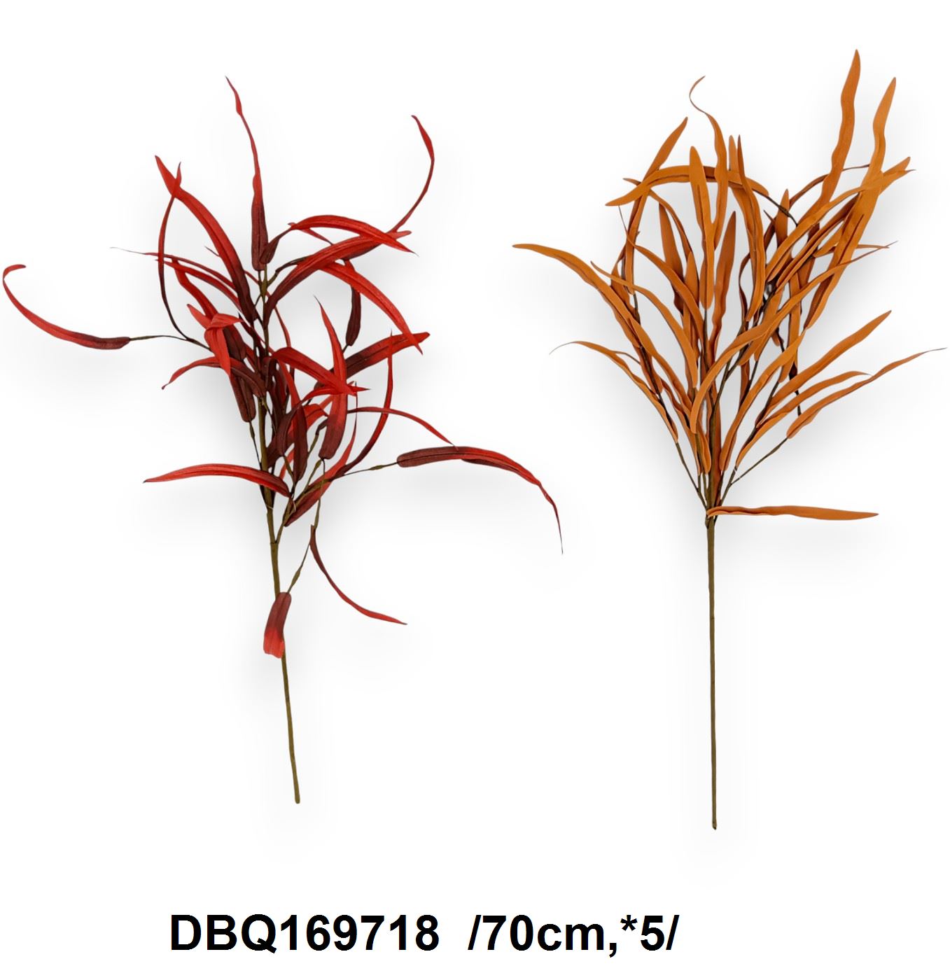 DBQ169718