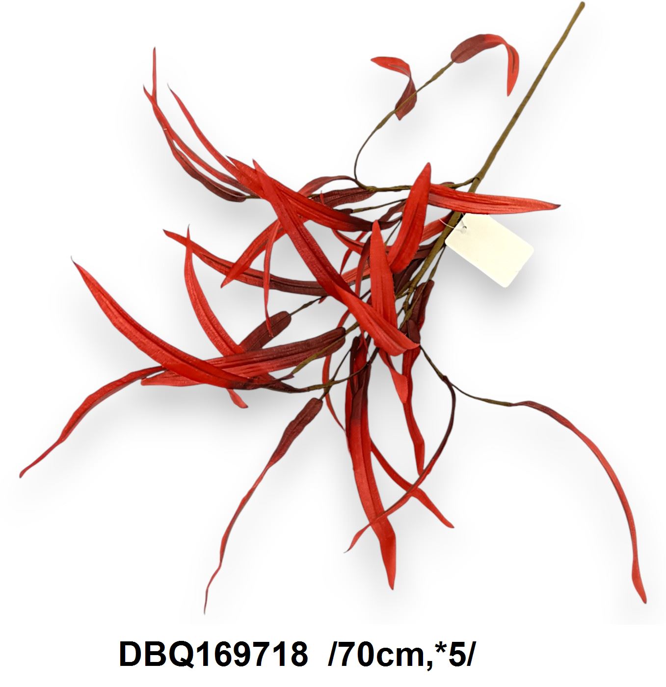 DBQ169718