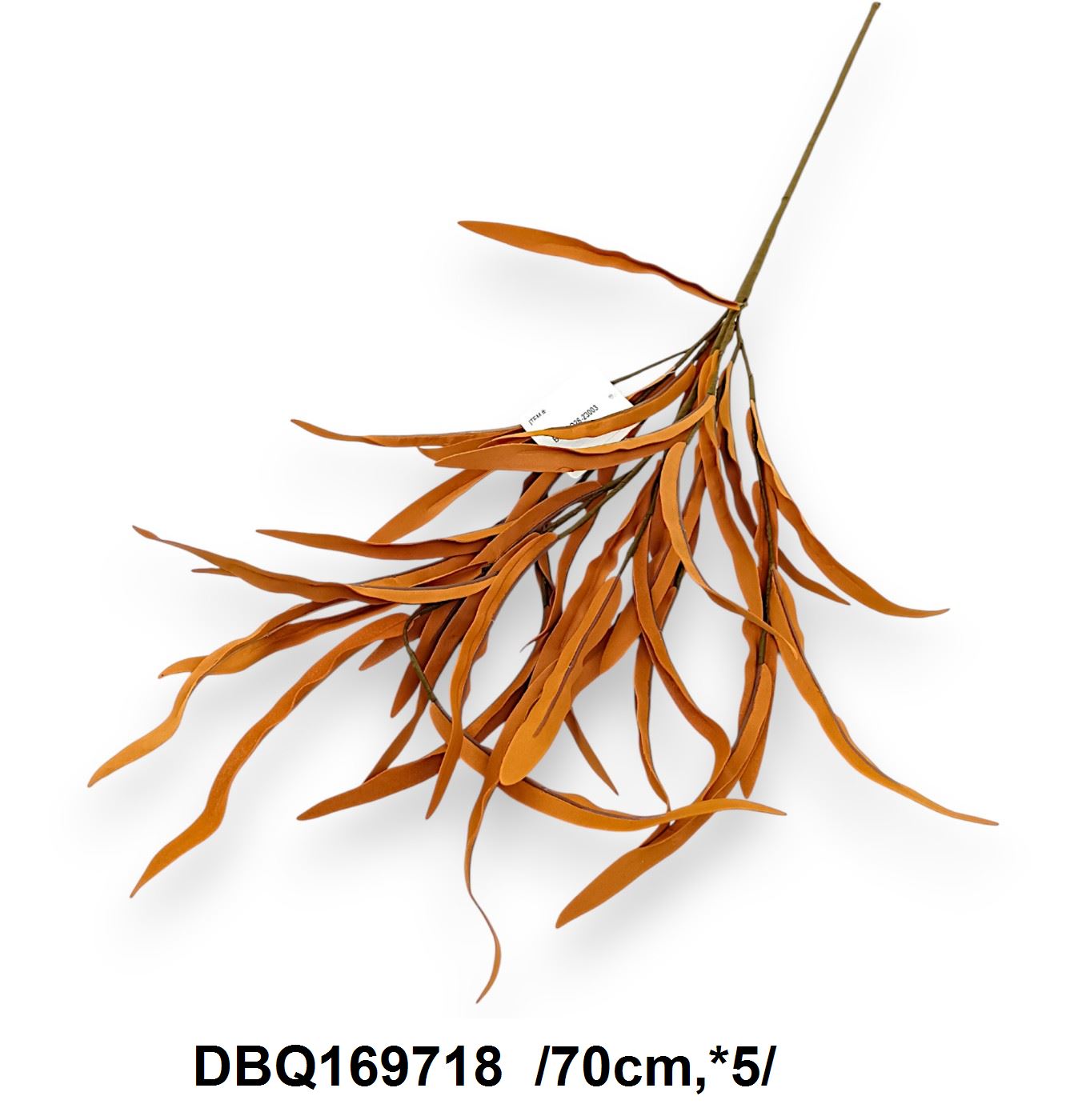 DBQ169718