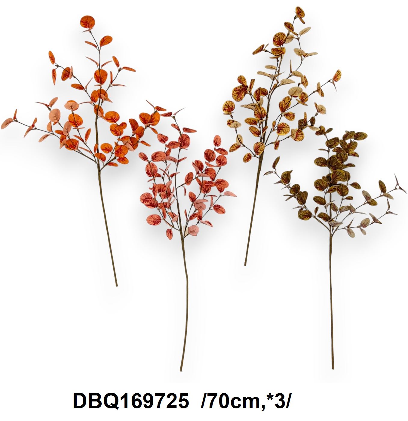 DBQ169725