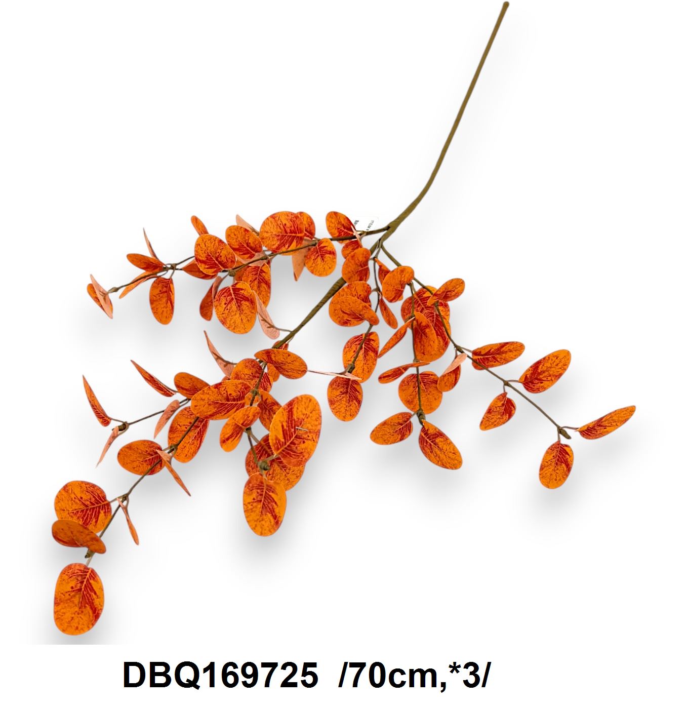 DBQ169725