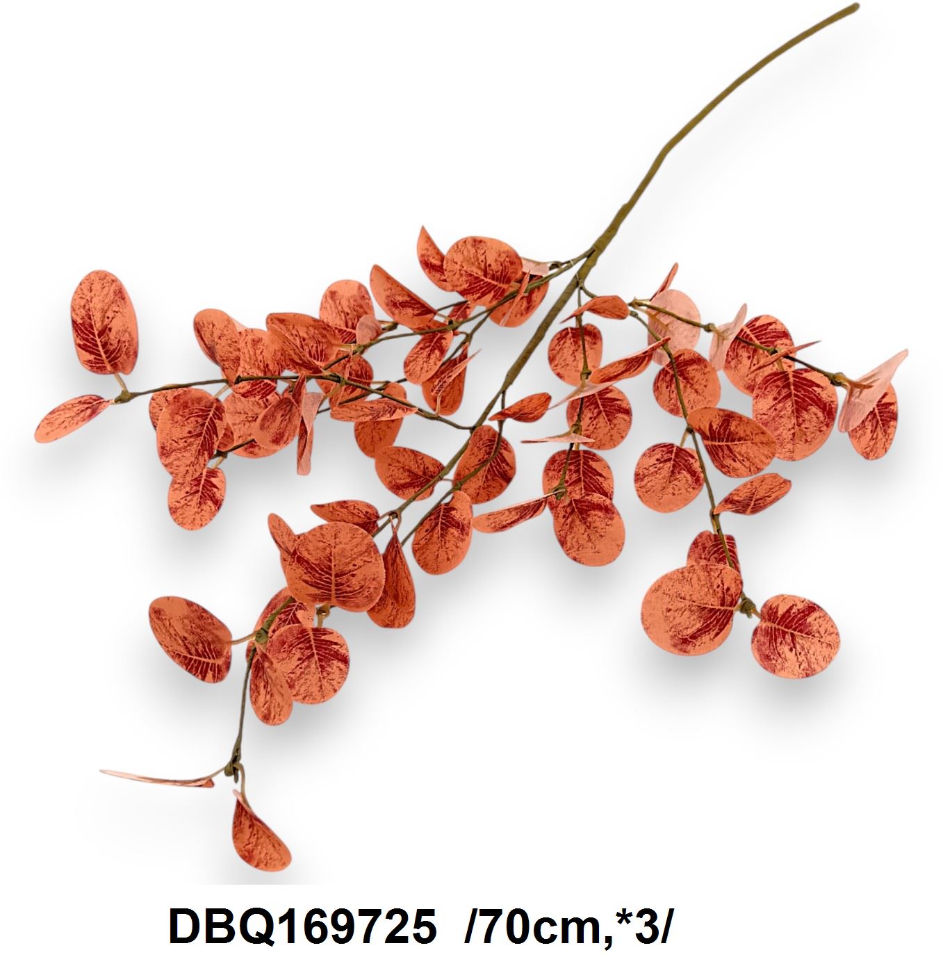 DBQ169725