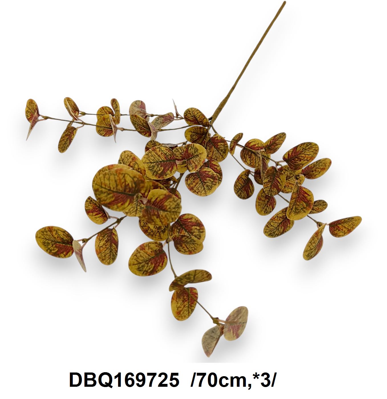 DBQ169725