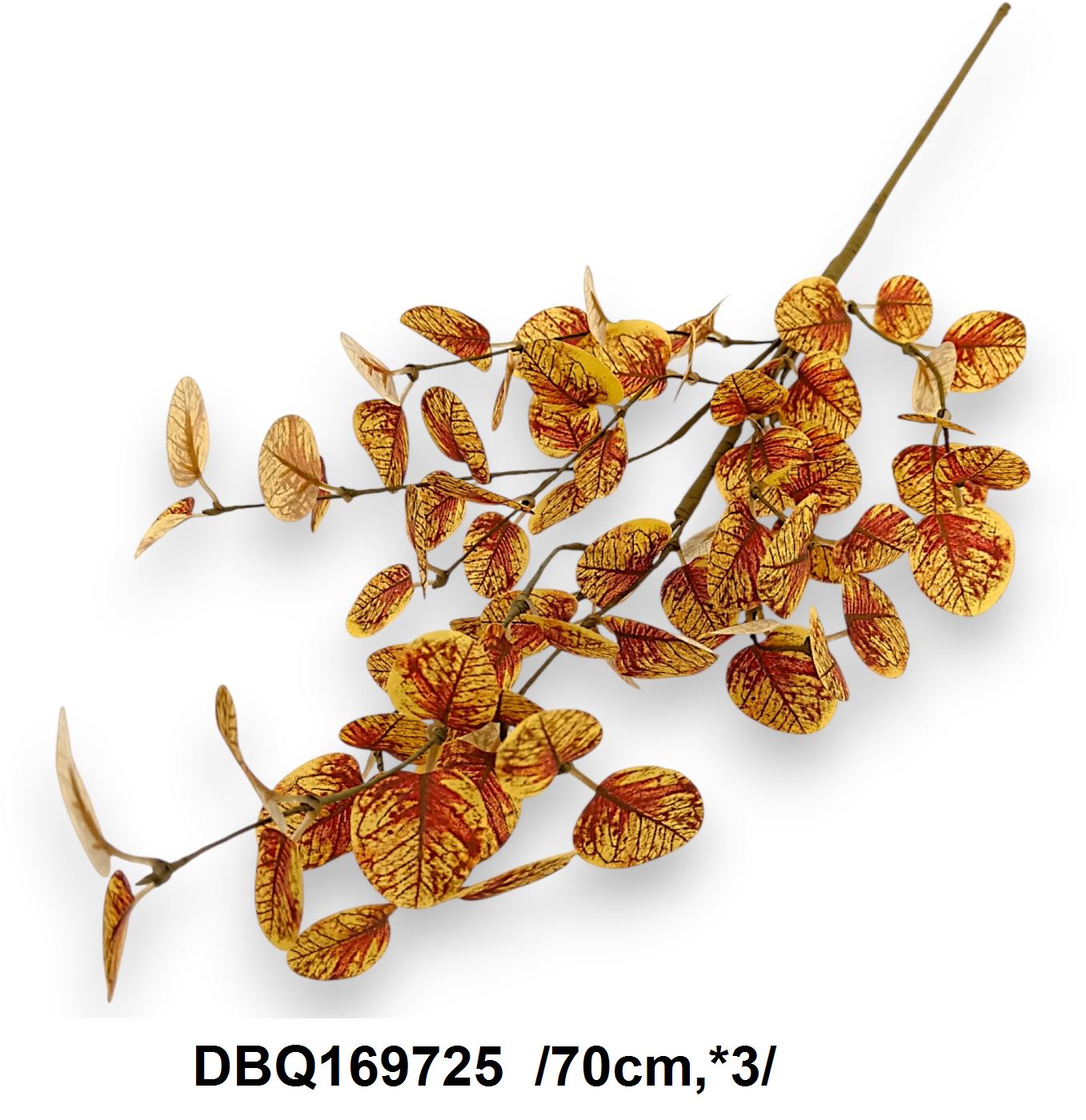 DBQ169725