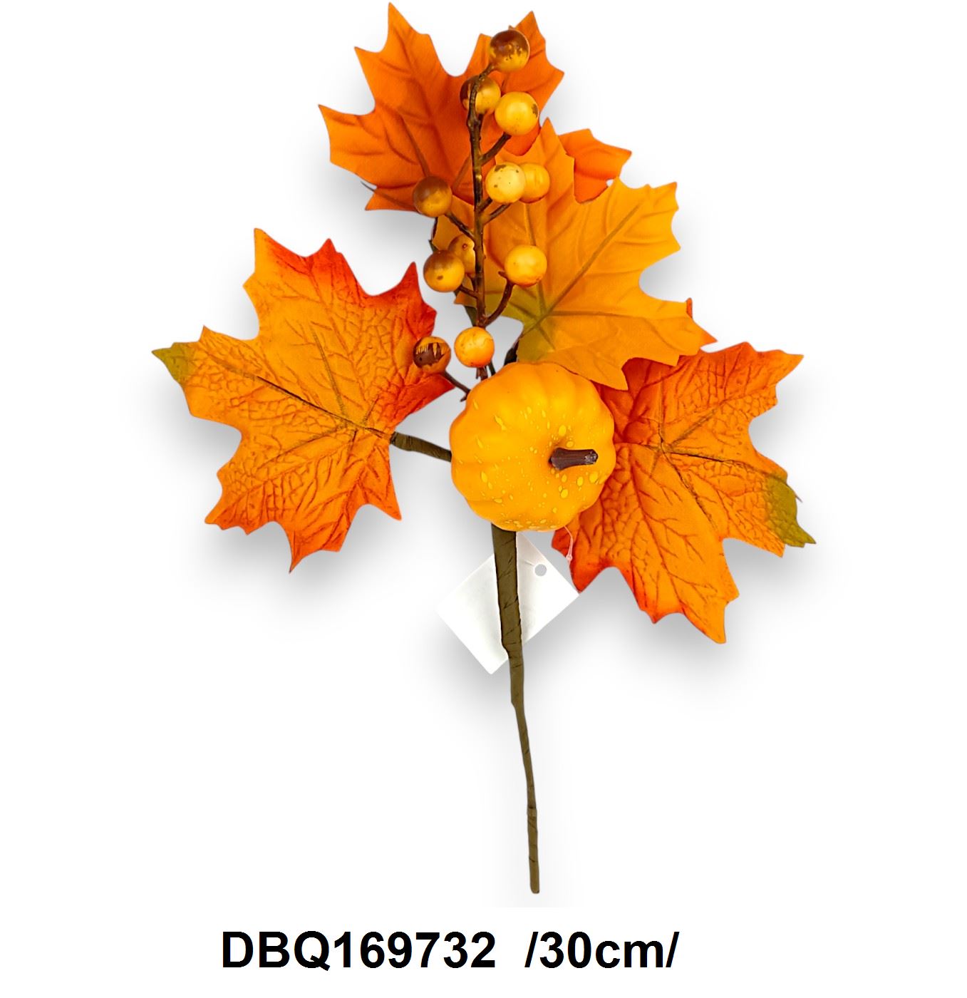 DBQ169732
