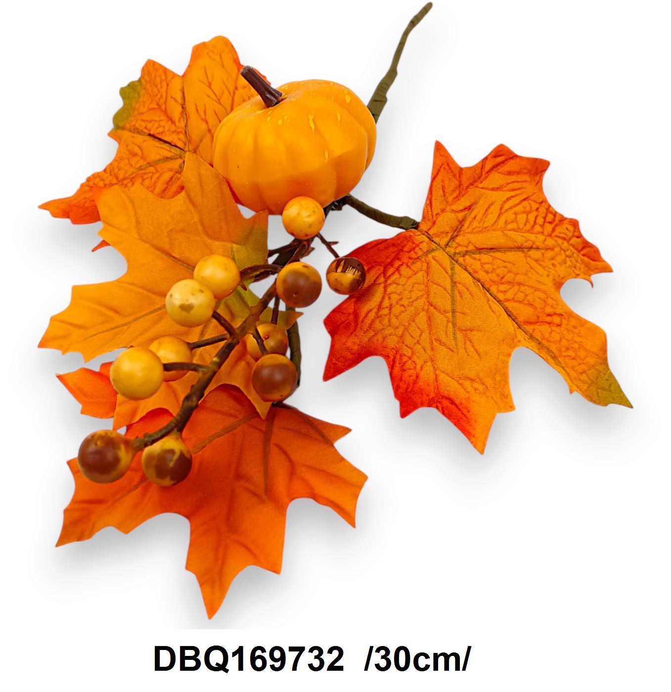 DBQ169732