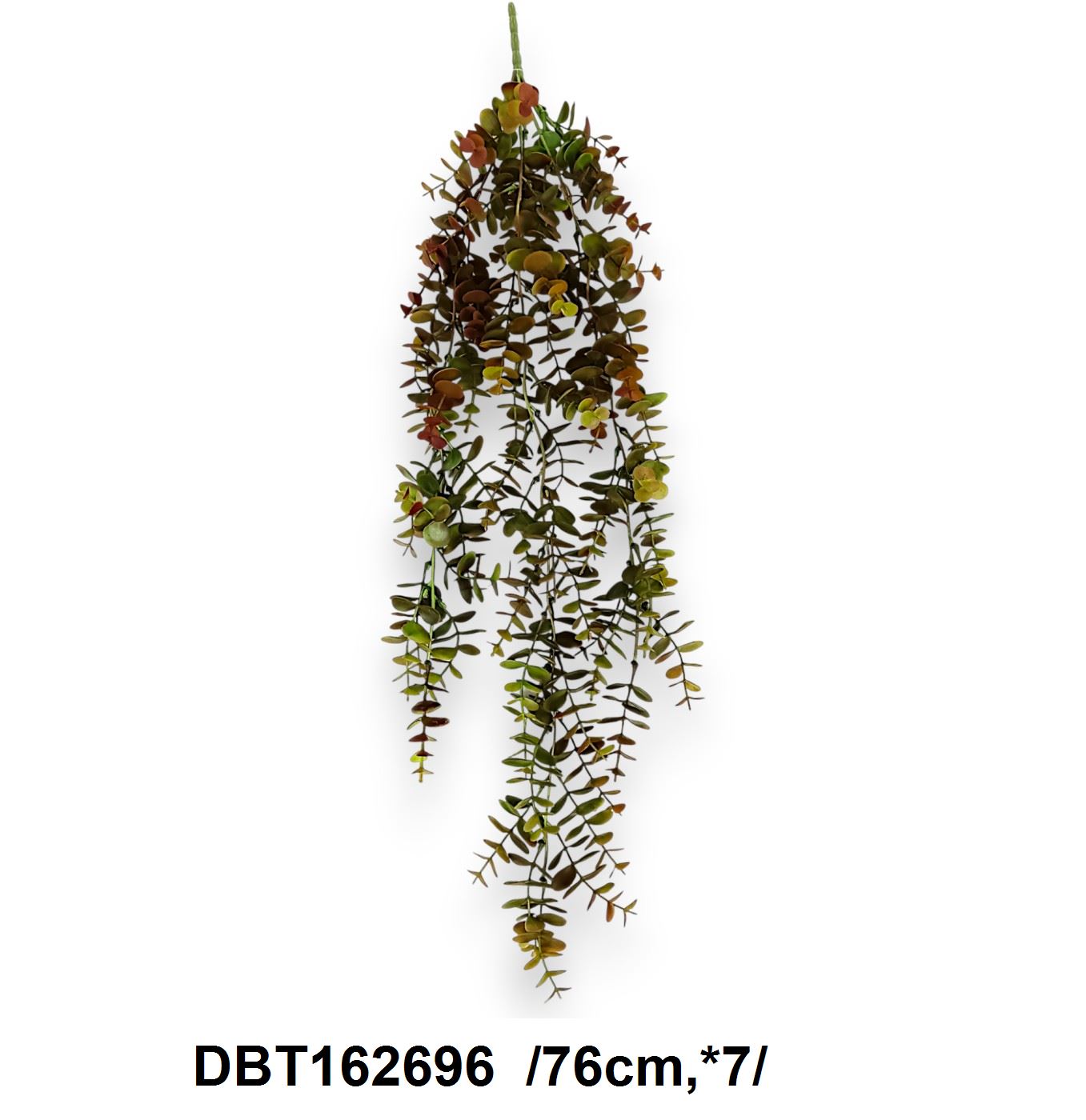 DBT162696