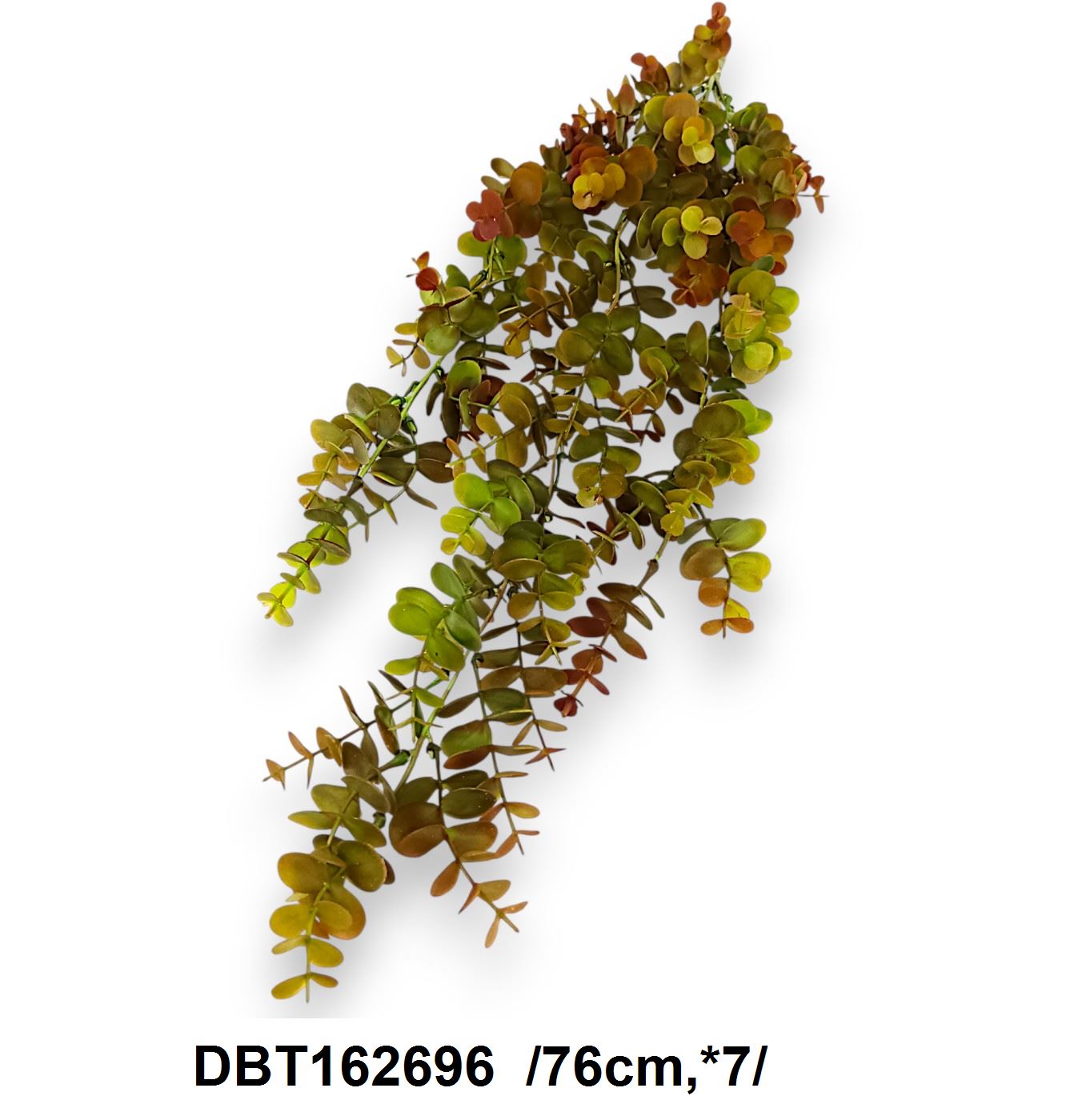 DBT162696