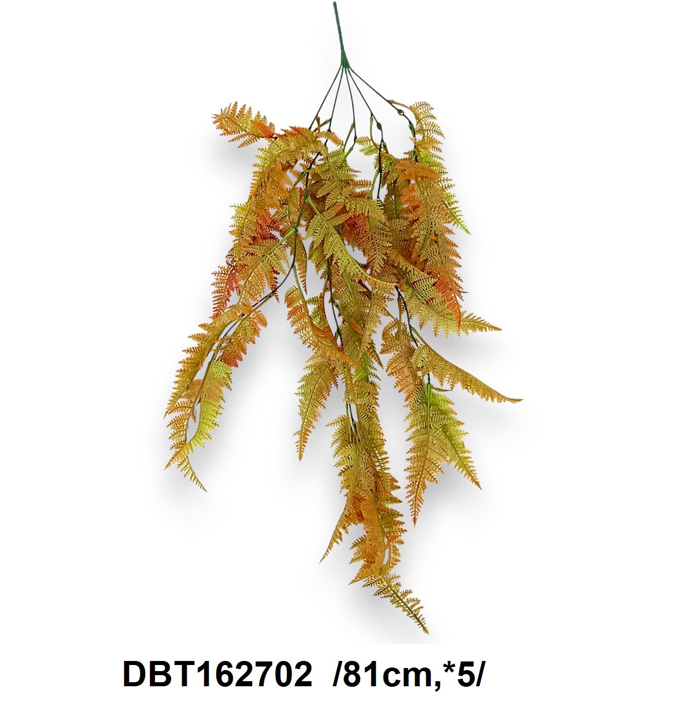 DBT162702