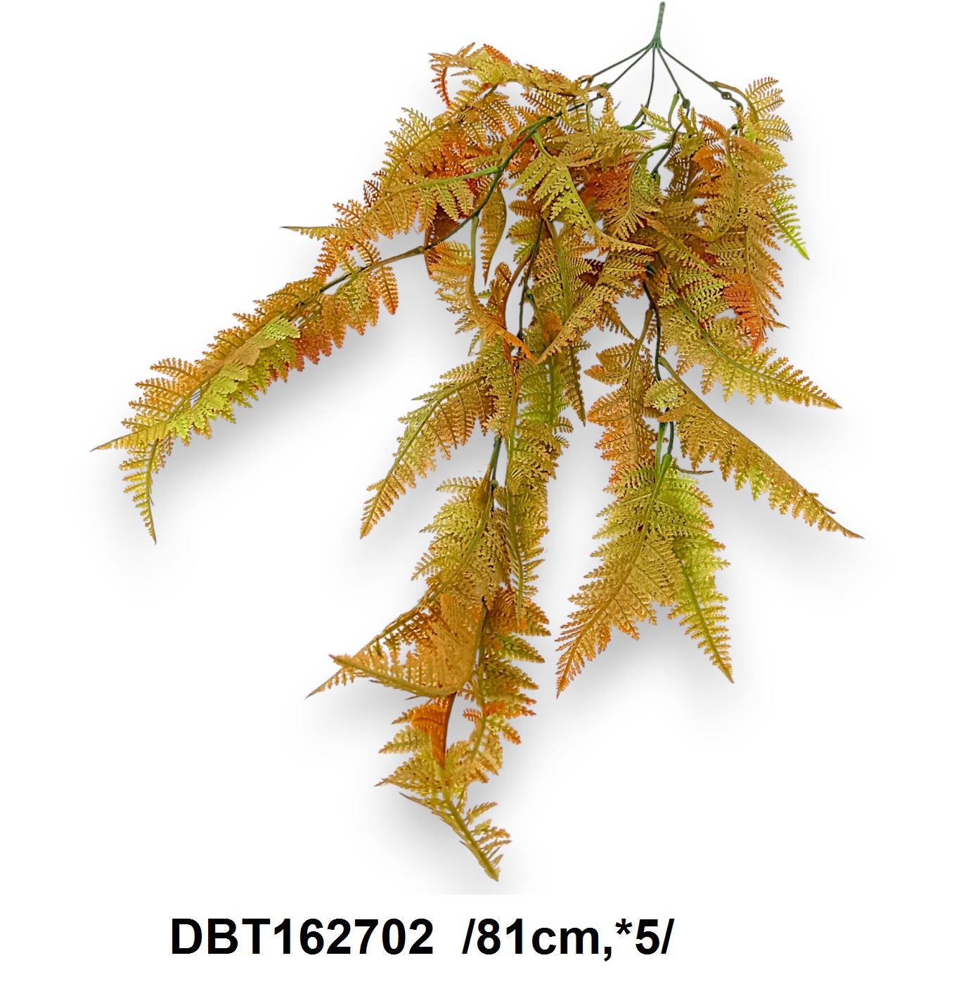 DBT162702