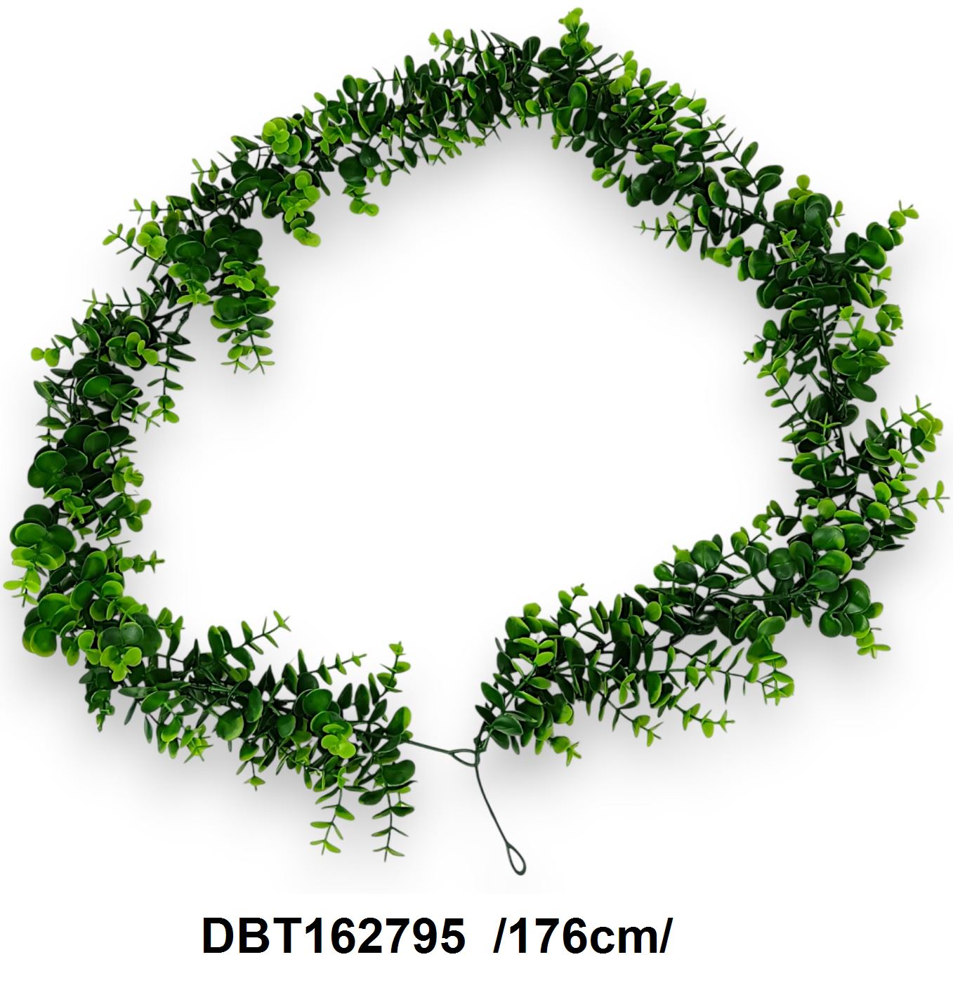 DBT162795