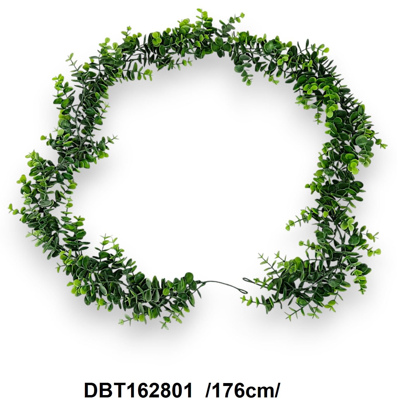 DBT162801