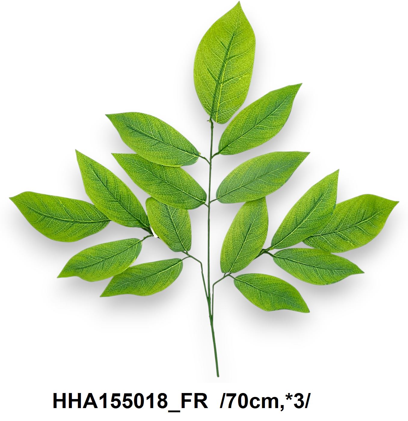 HHA155018_FR