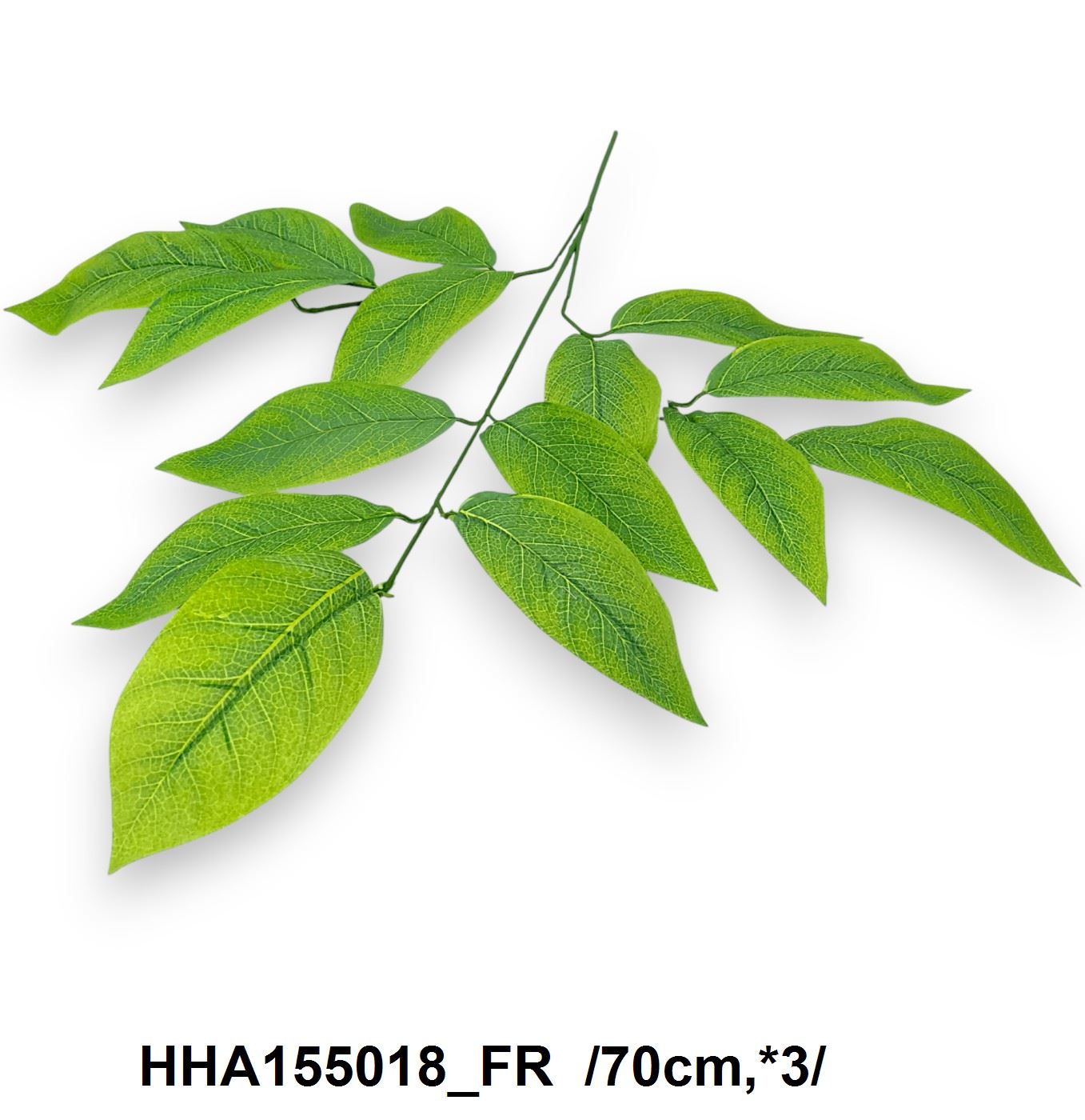 HHA155018_FR
