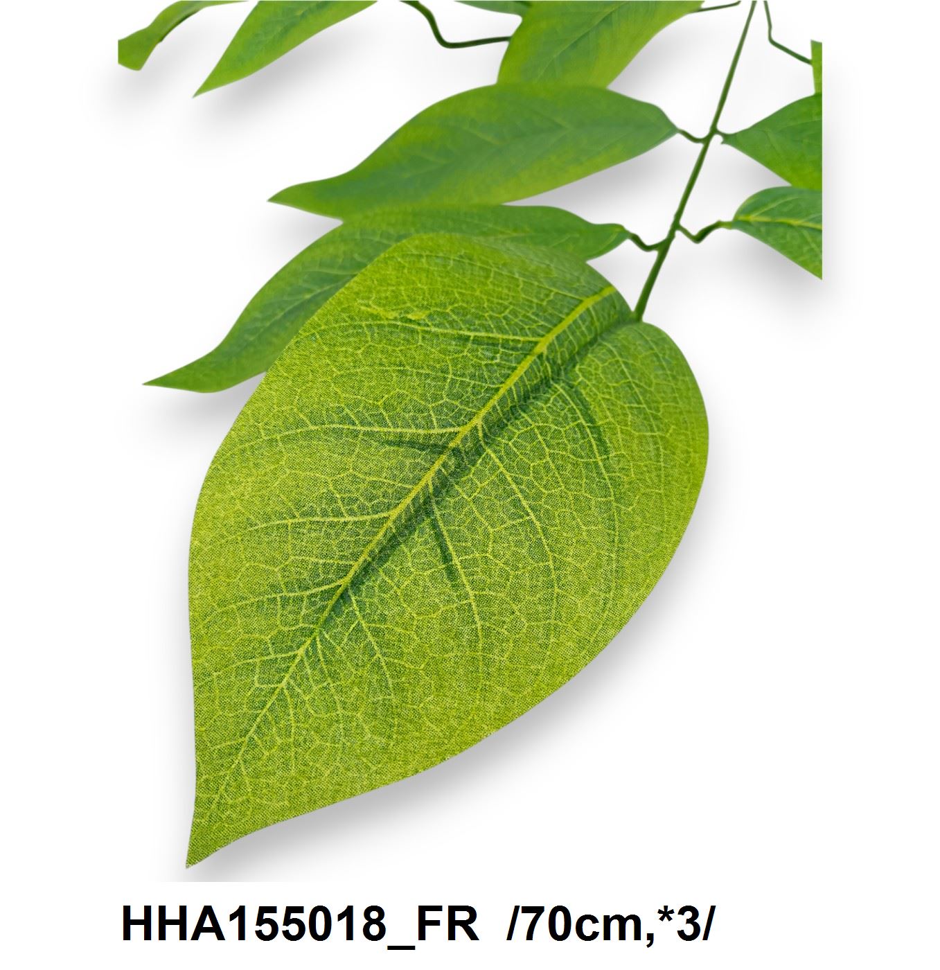HHA155018_FR