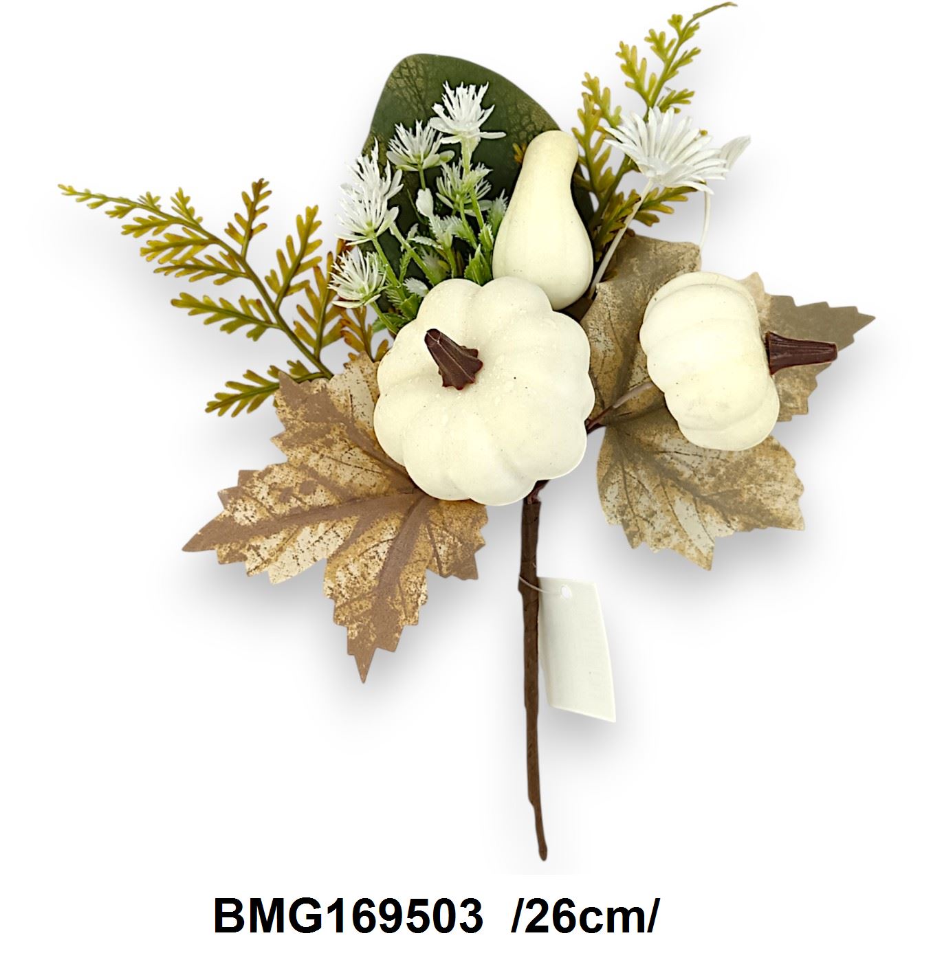 BMG169503