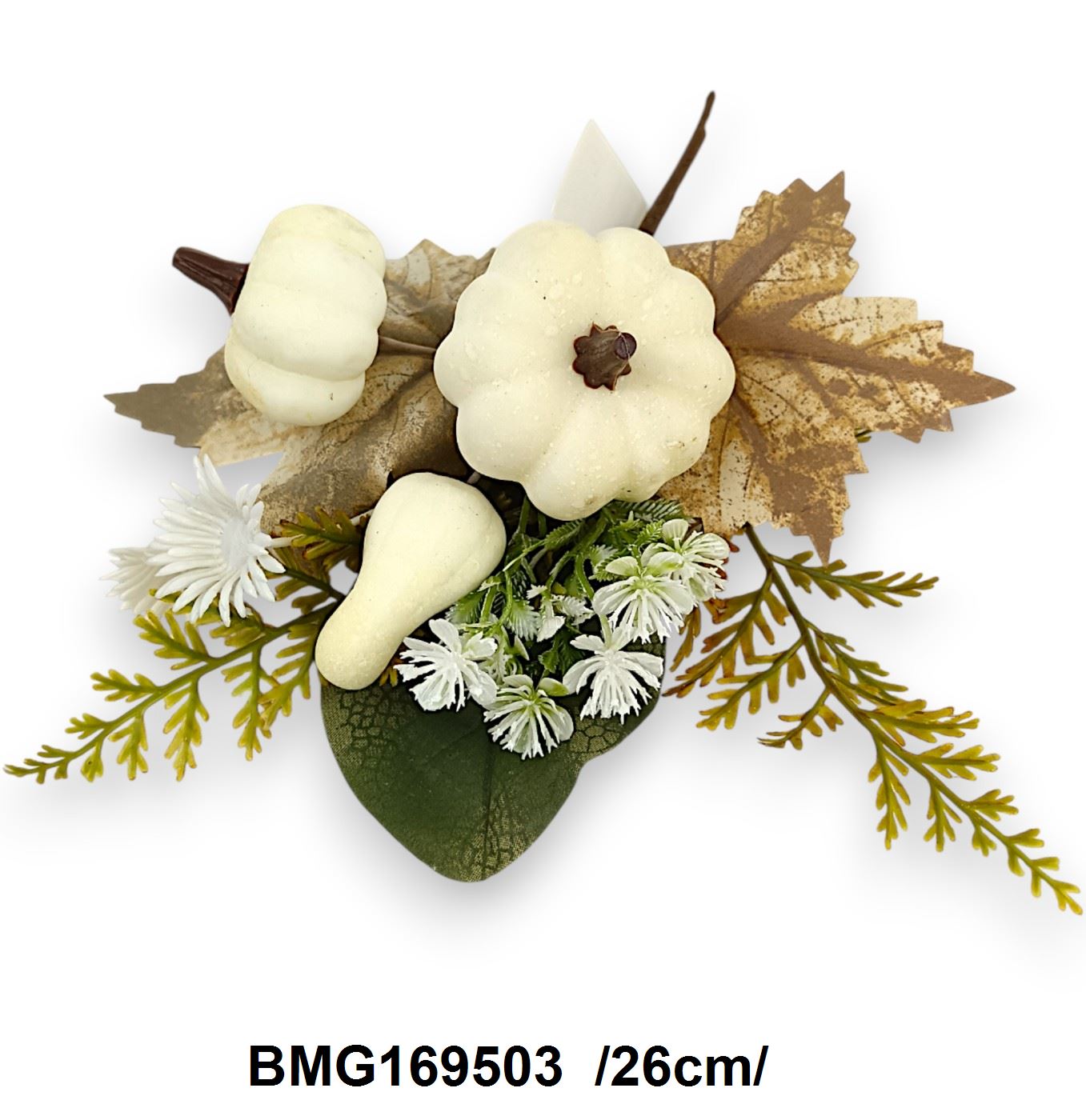 BMG169503
