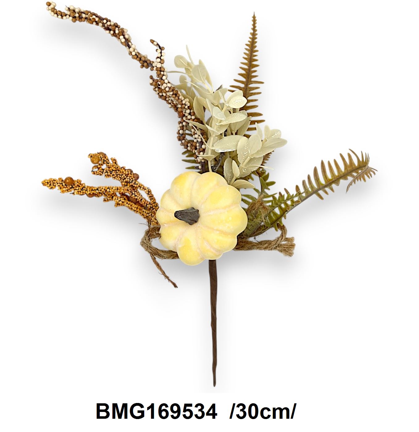 BMG169534