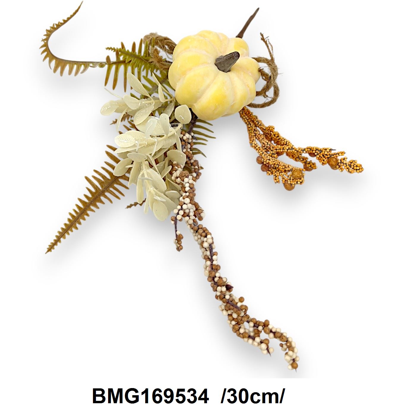 BMG169534