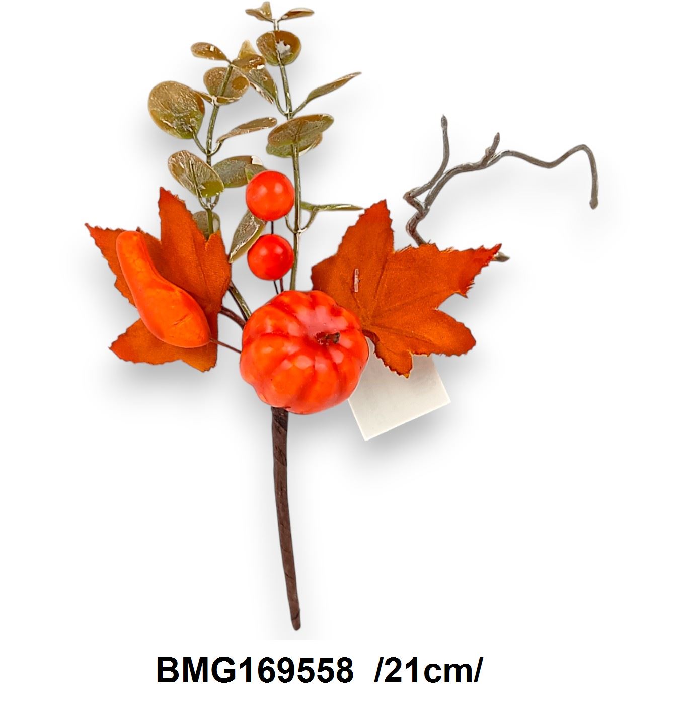 BMG169558