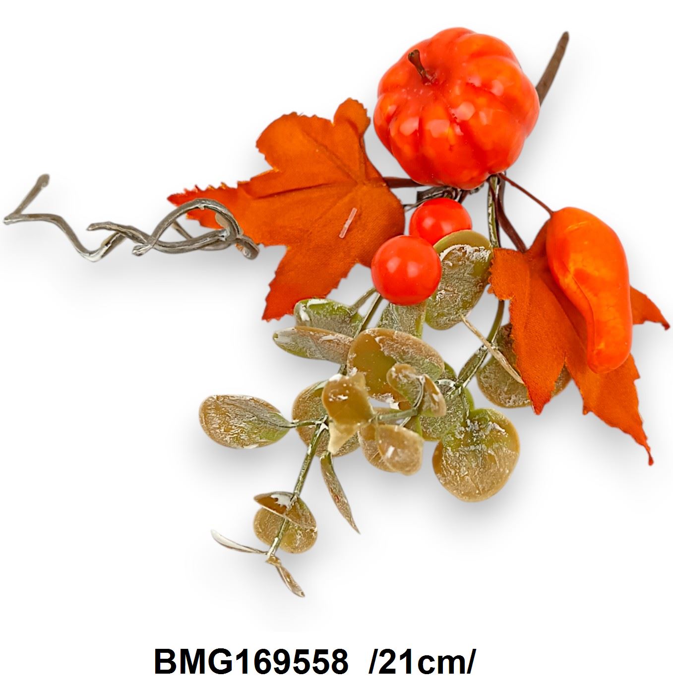BMG169558