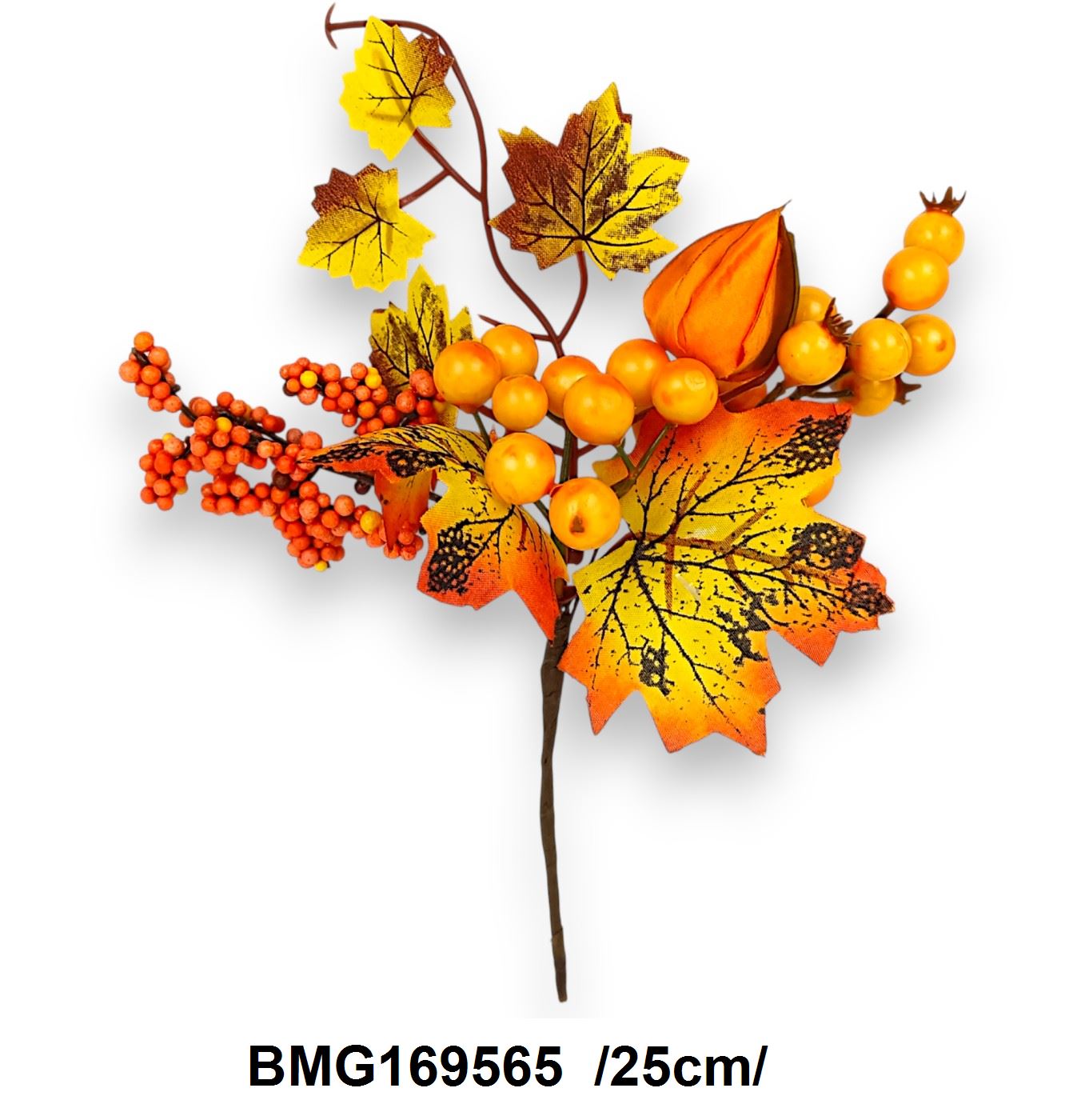BMG169565