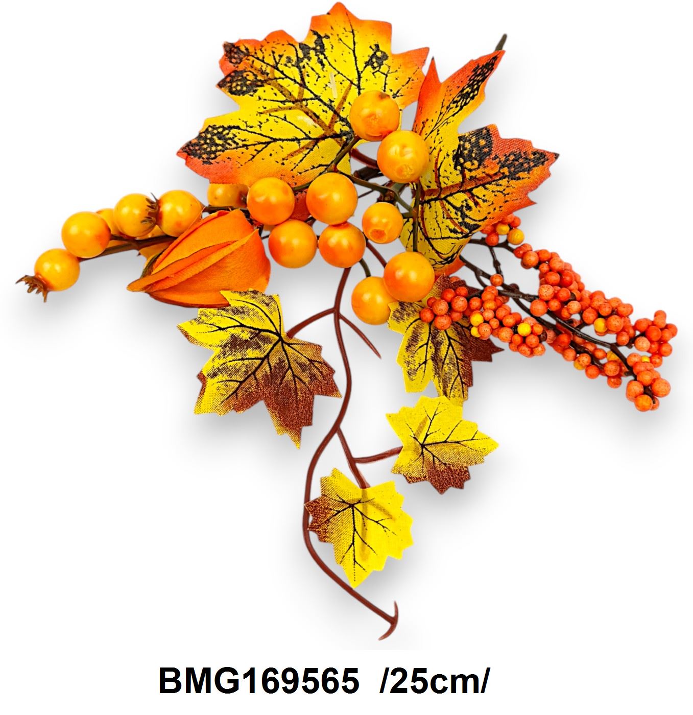 BMG169565