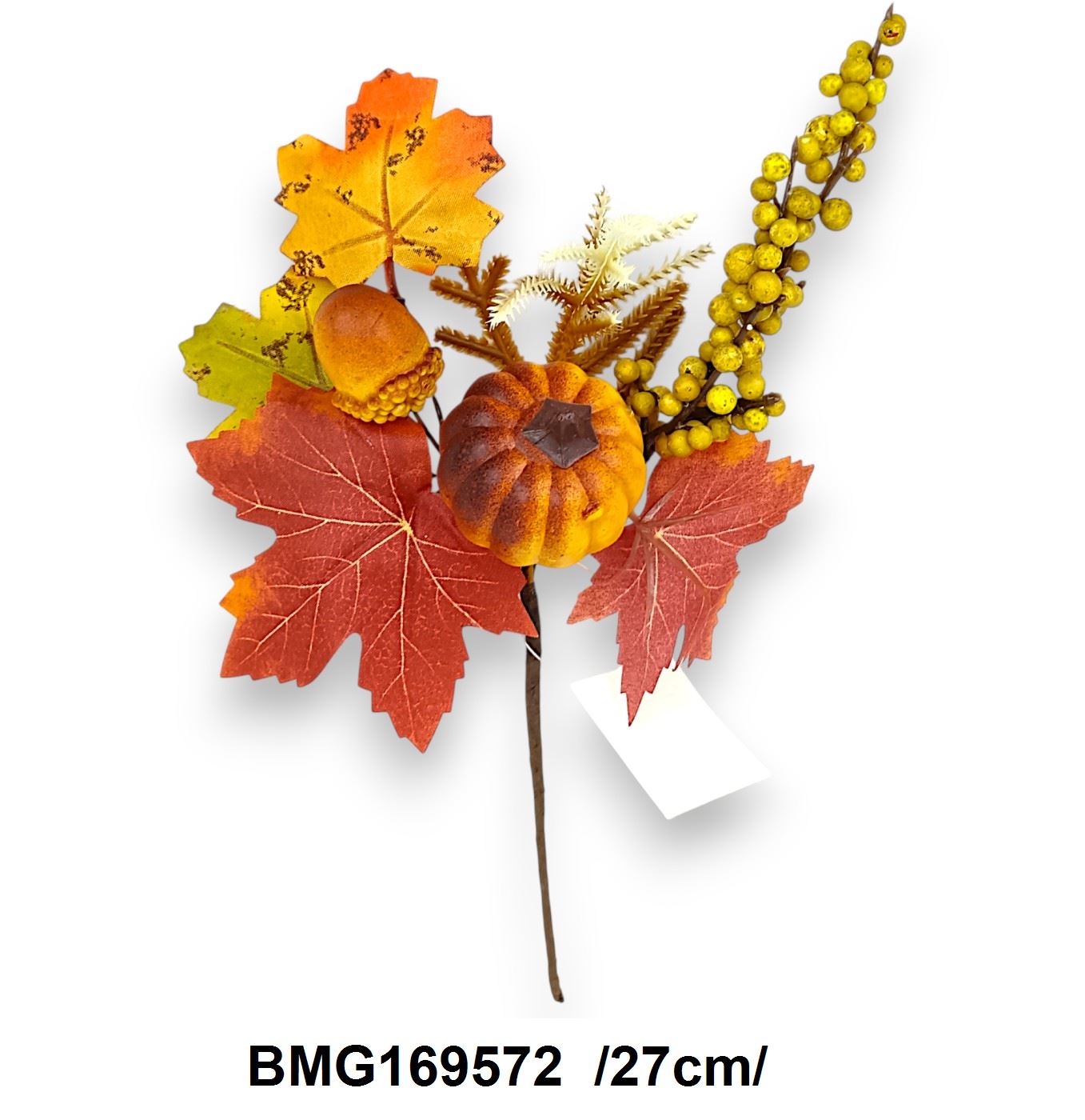 BMG169572