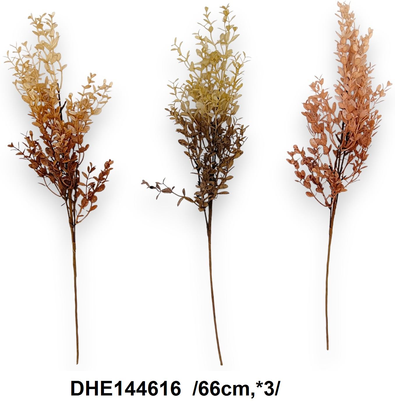 DHE144616