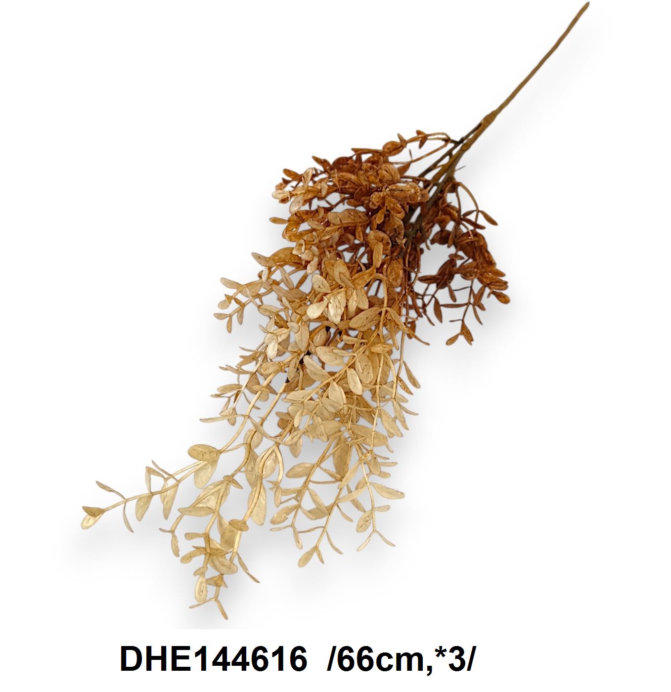 DHE144616