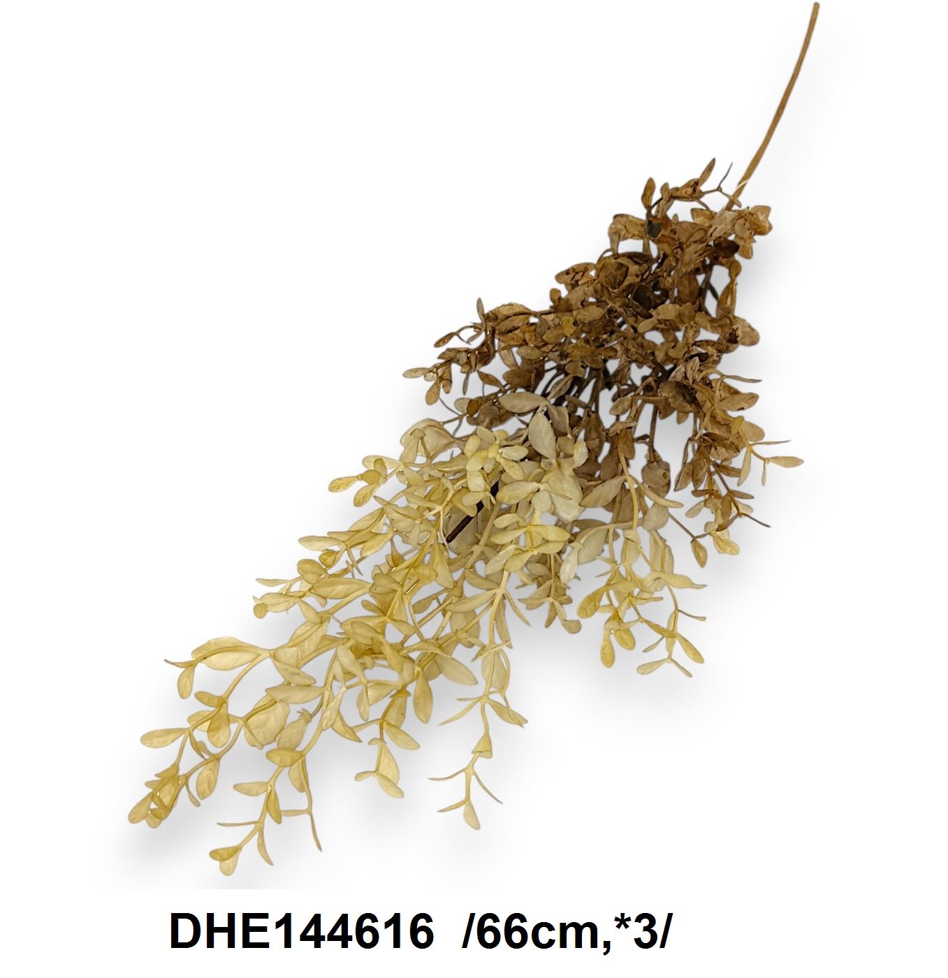 DHE144616
