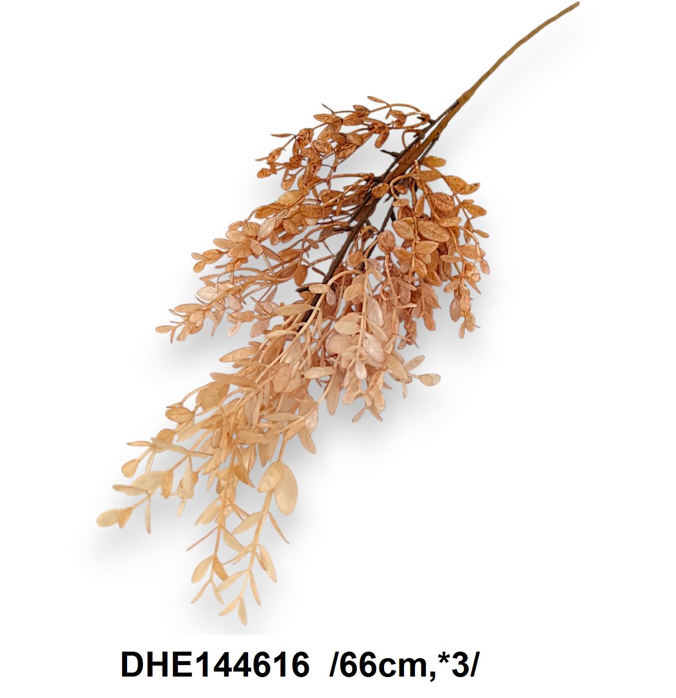 DHE144616