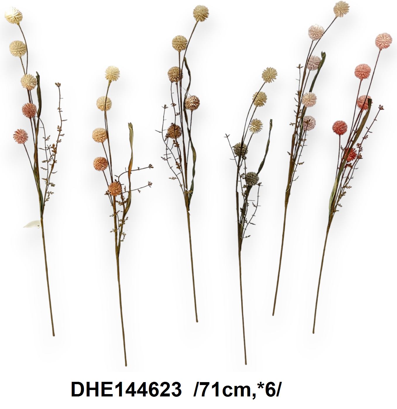 DHE144623