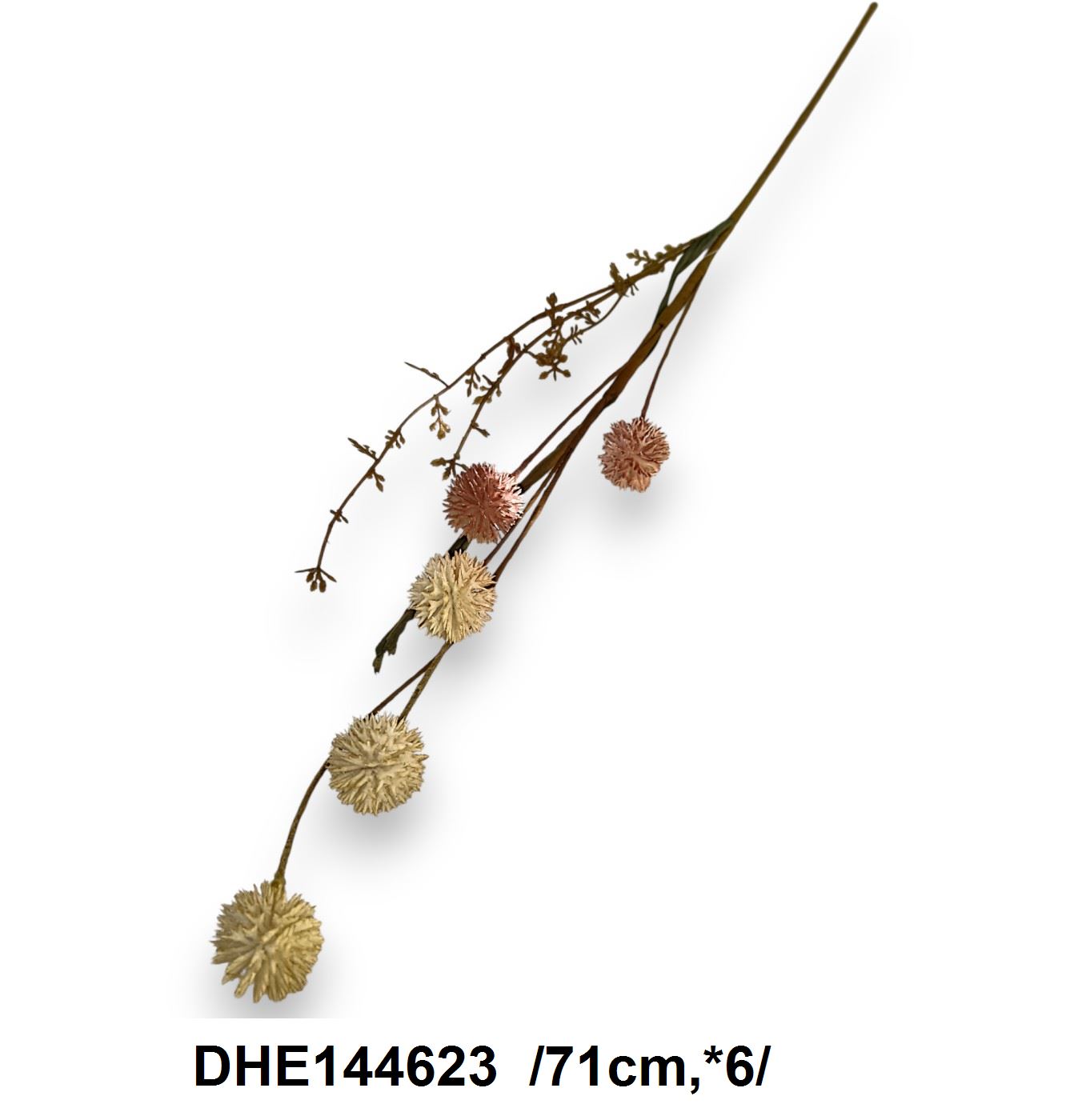 DHE144623