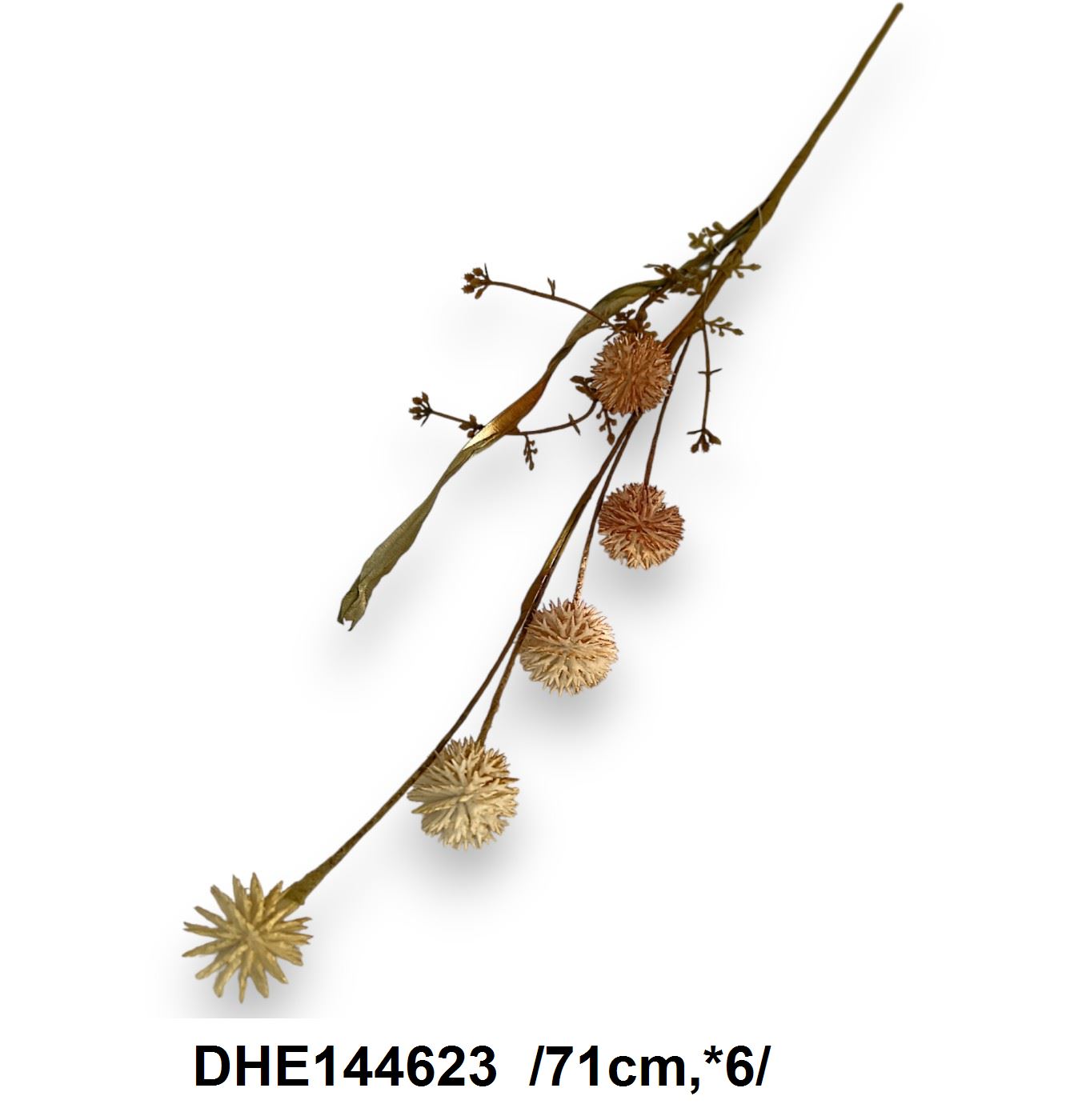DHE144623