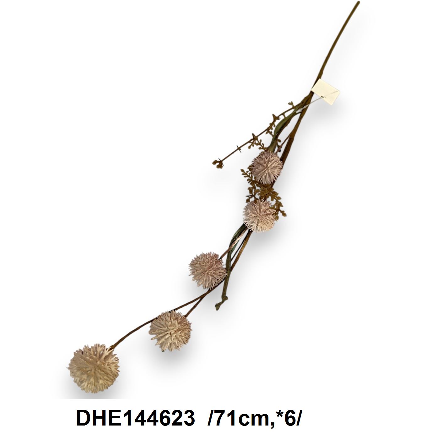 DHE144623