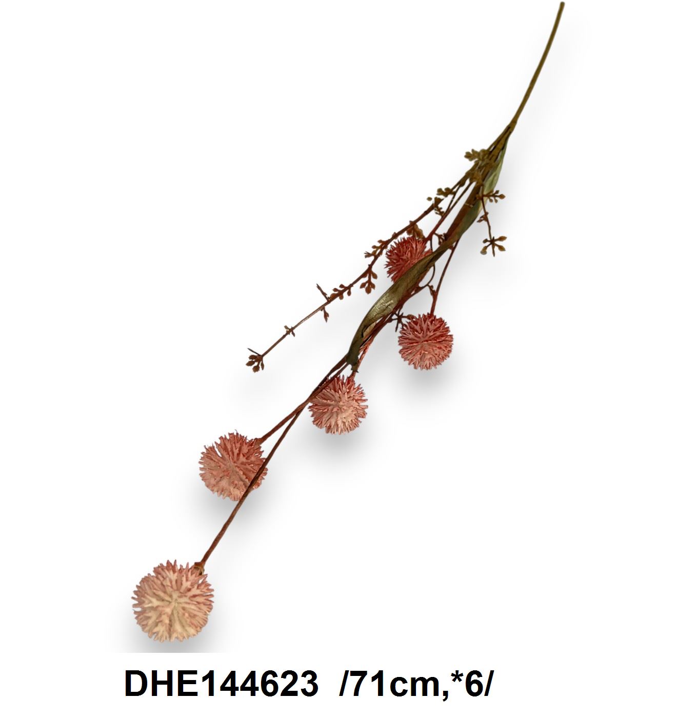 DHE144623