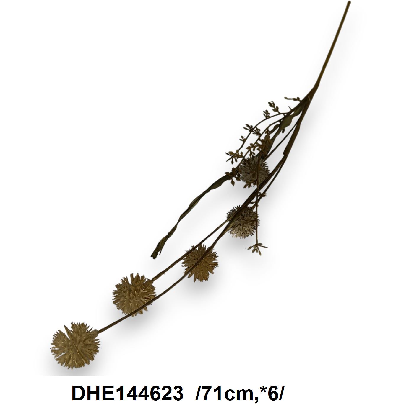 DHE144623